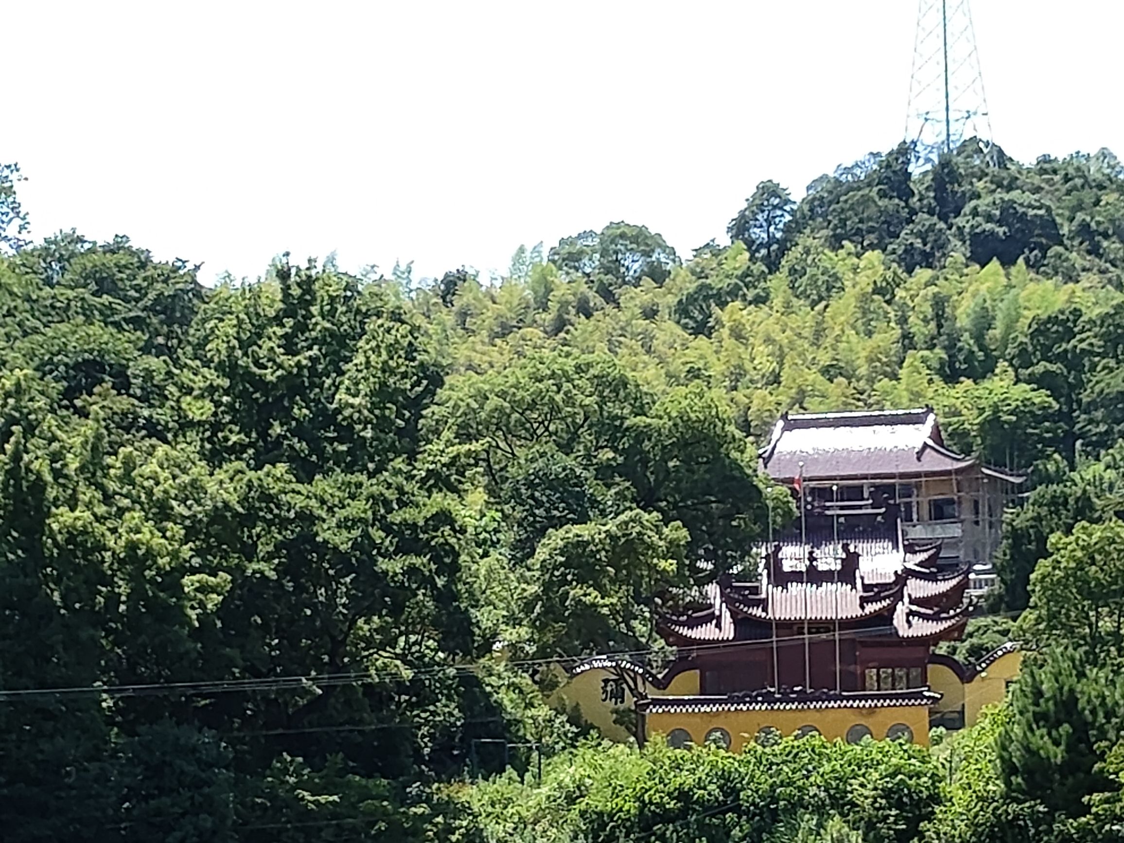 莲花山旅行图片 1