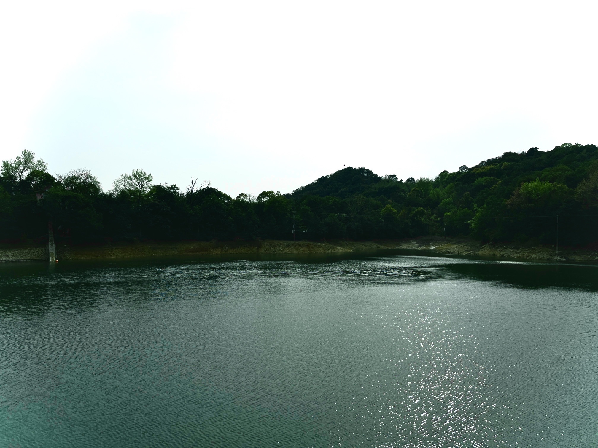 莲花山旅行图片 1