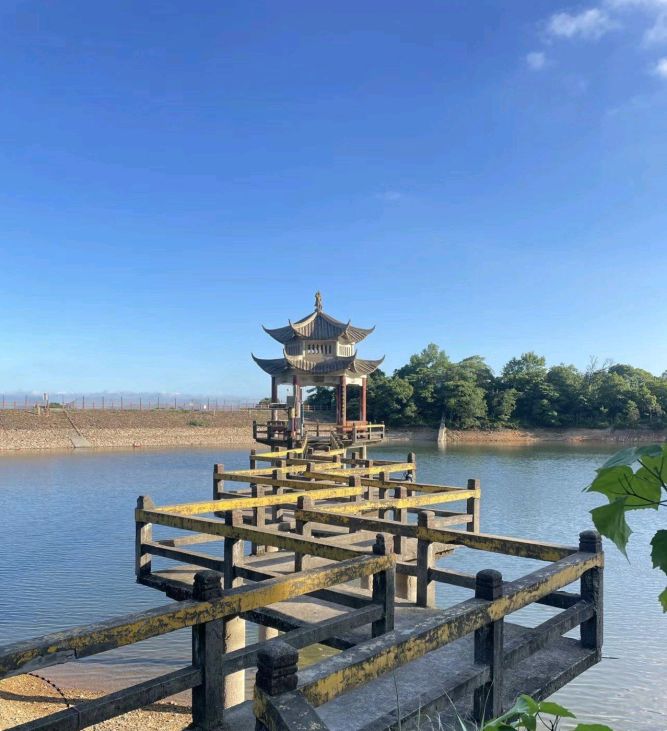 莲花山旅行图片 1