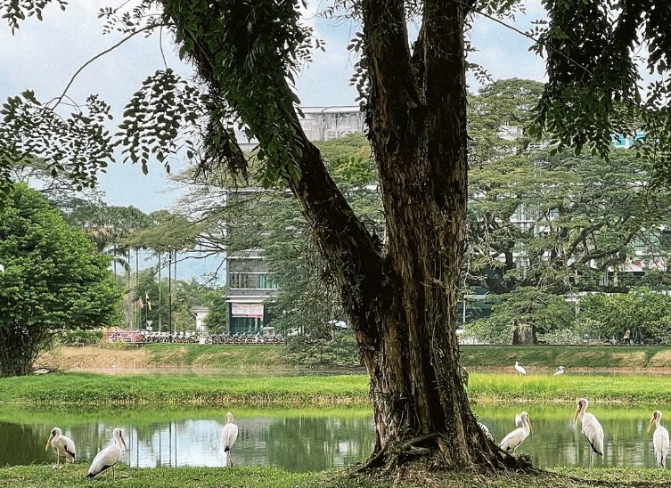 太平双溪风景名胜区旅行图片 3