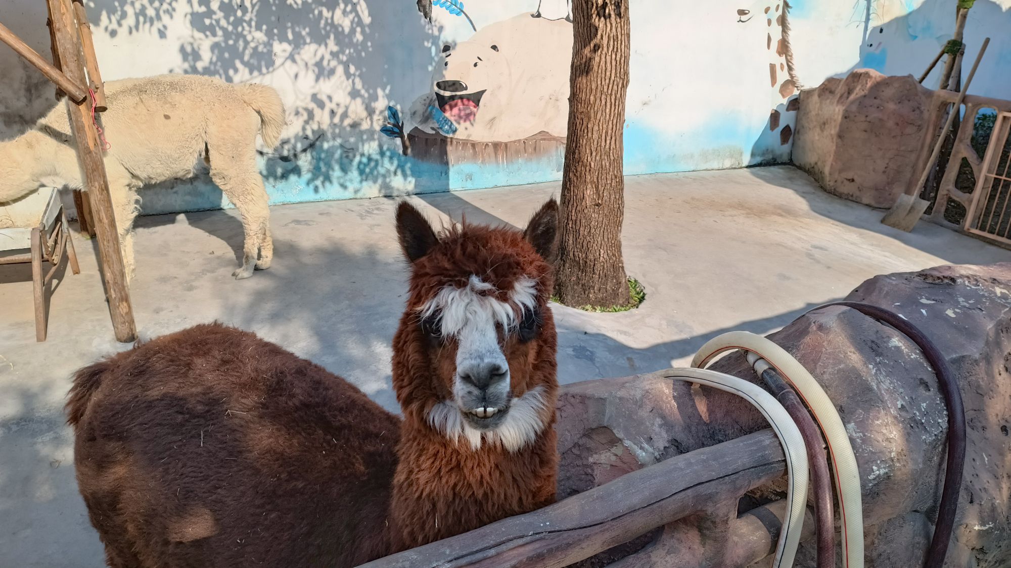 温岭动物园旅行图片 1