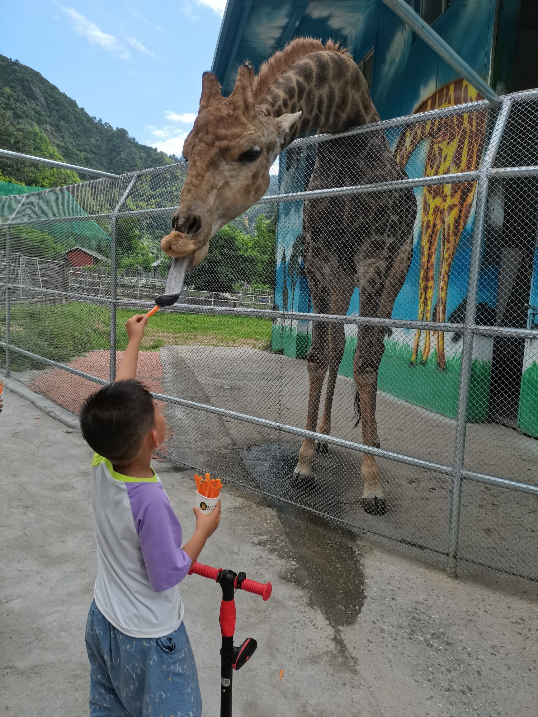 温岭动物园旅行图片 3