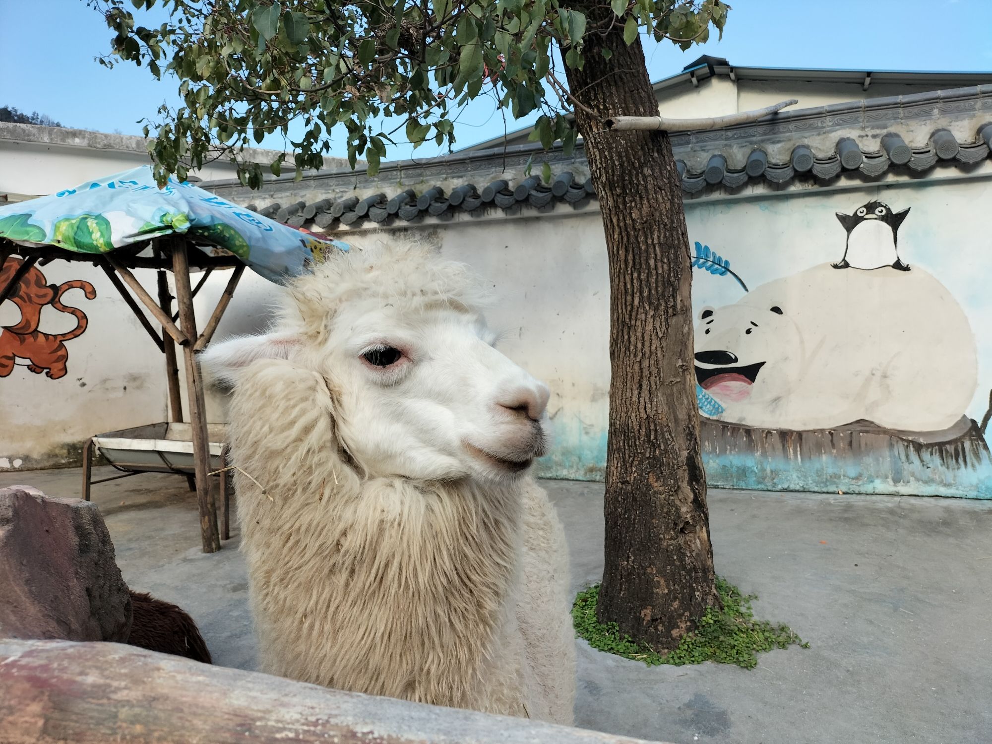 温岭动物园旅行图片 2