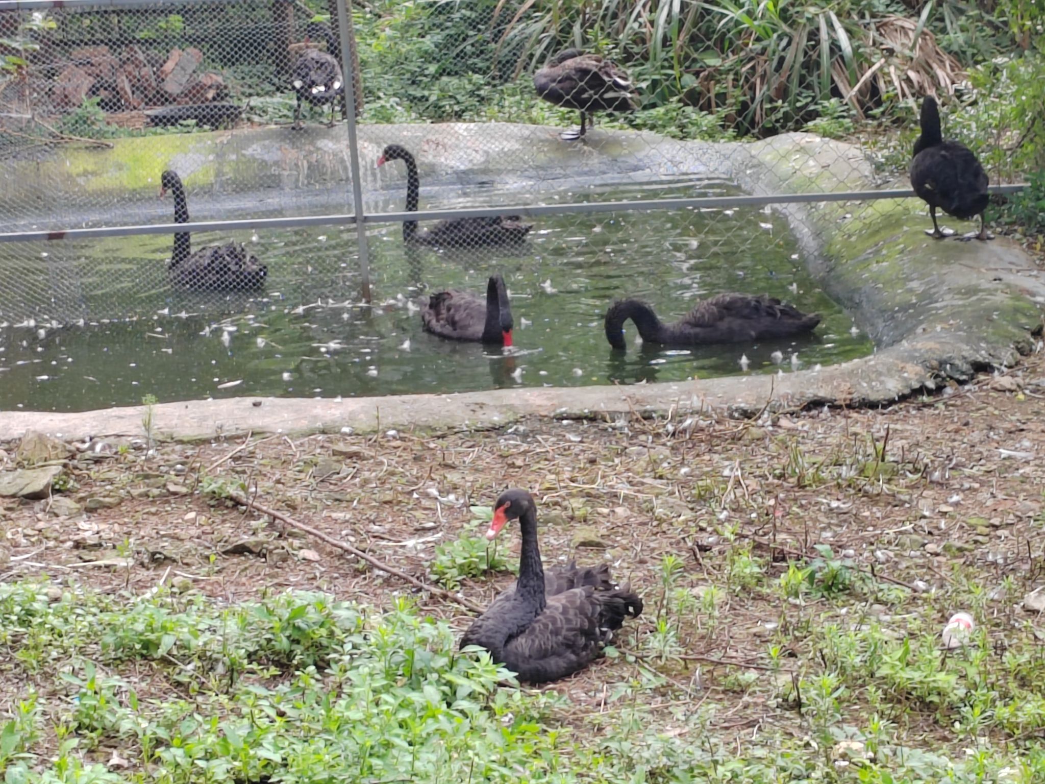 温岭动物园旅行图片 2
