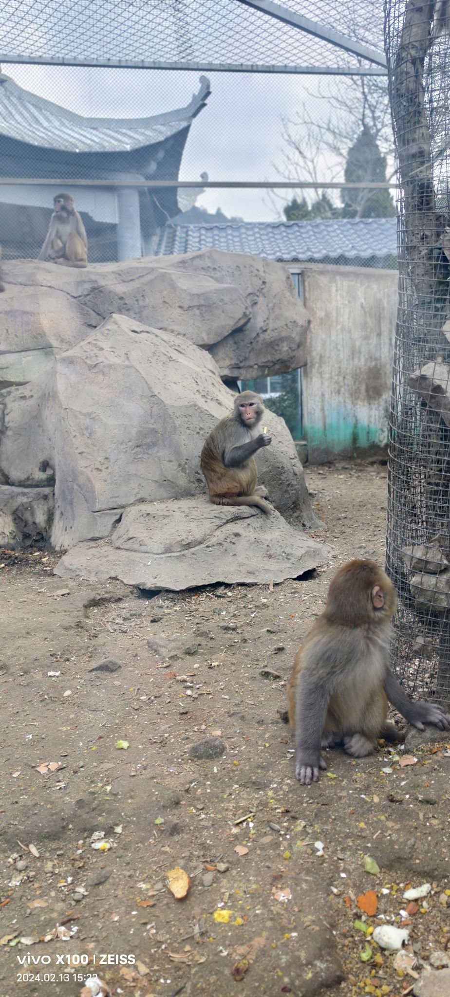 温岭动物园旅行图片 2