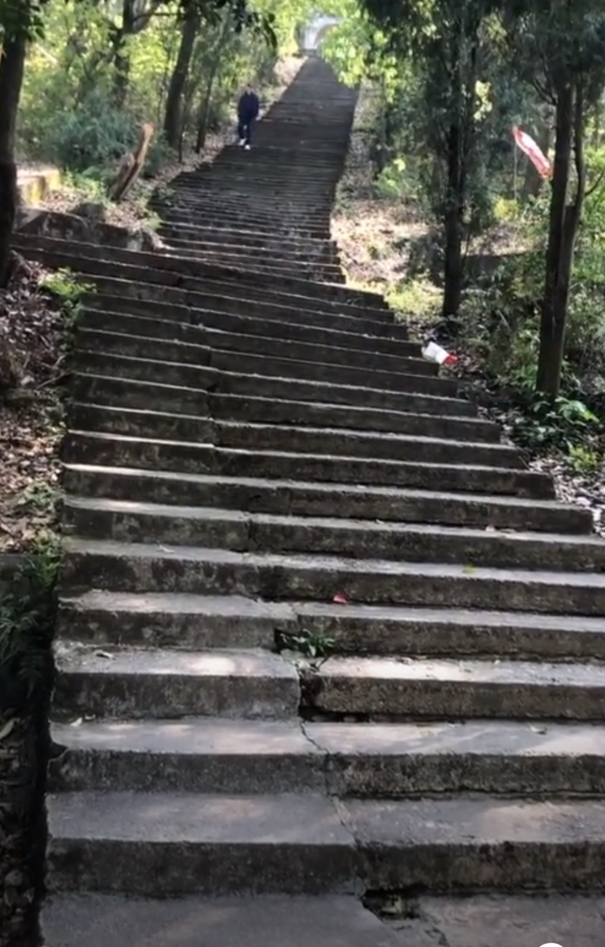 南山风景区旅行图片 2
