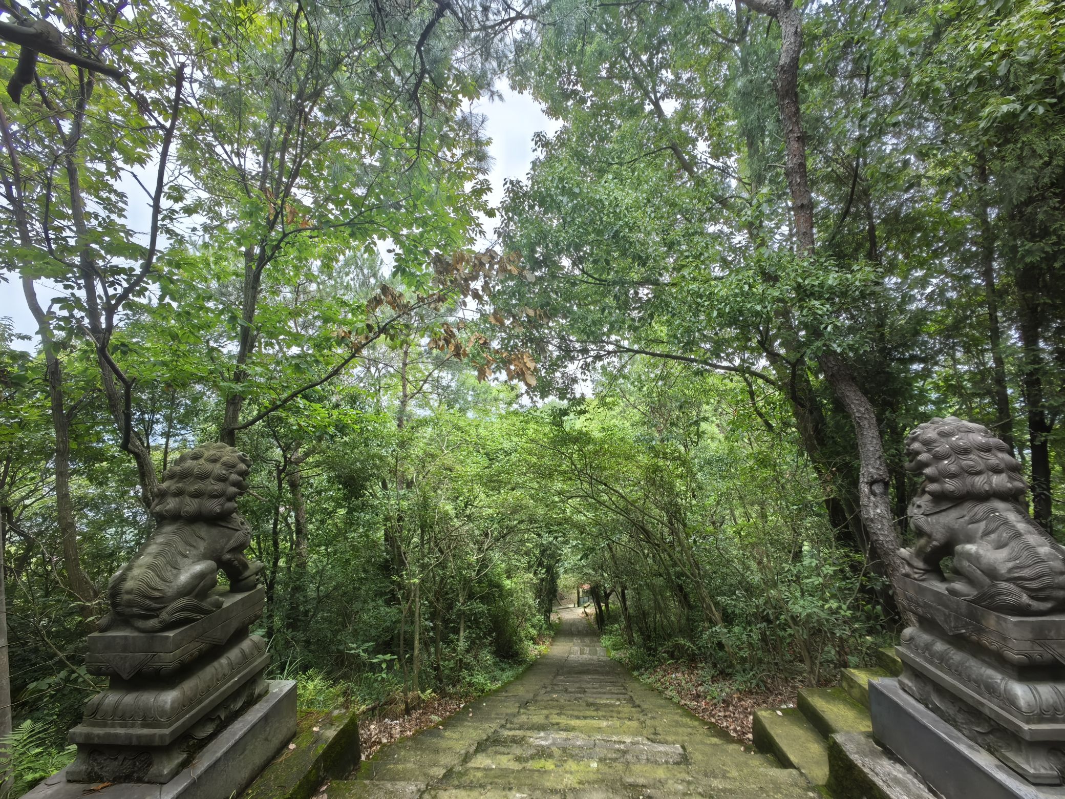 南山风景区旅行图片 2