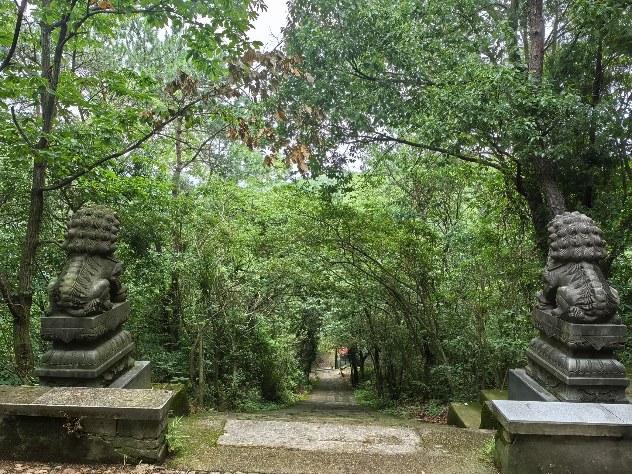 南山风景区旅行图片 1