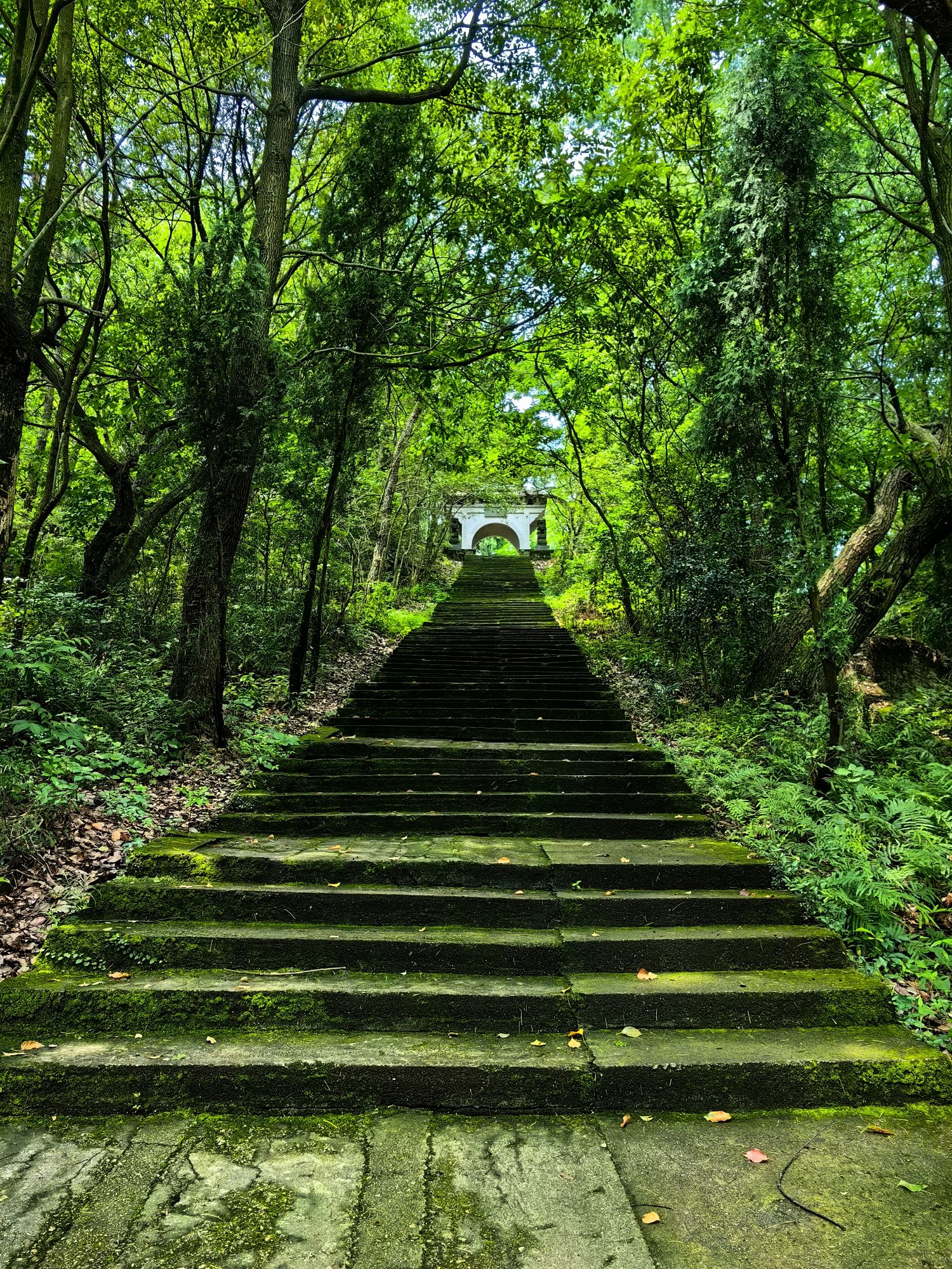 南山风景区旅行图片 3