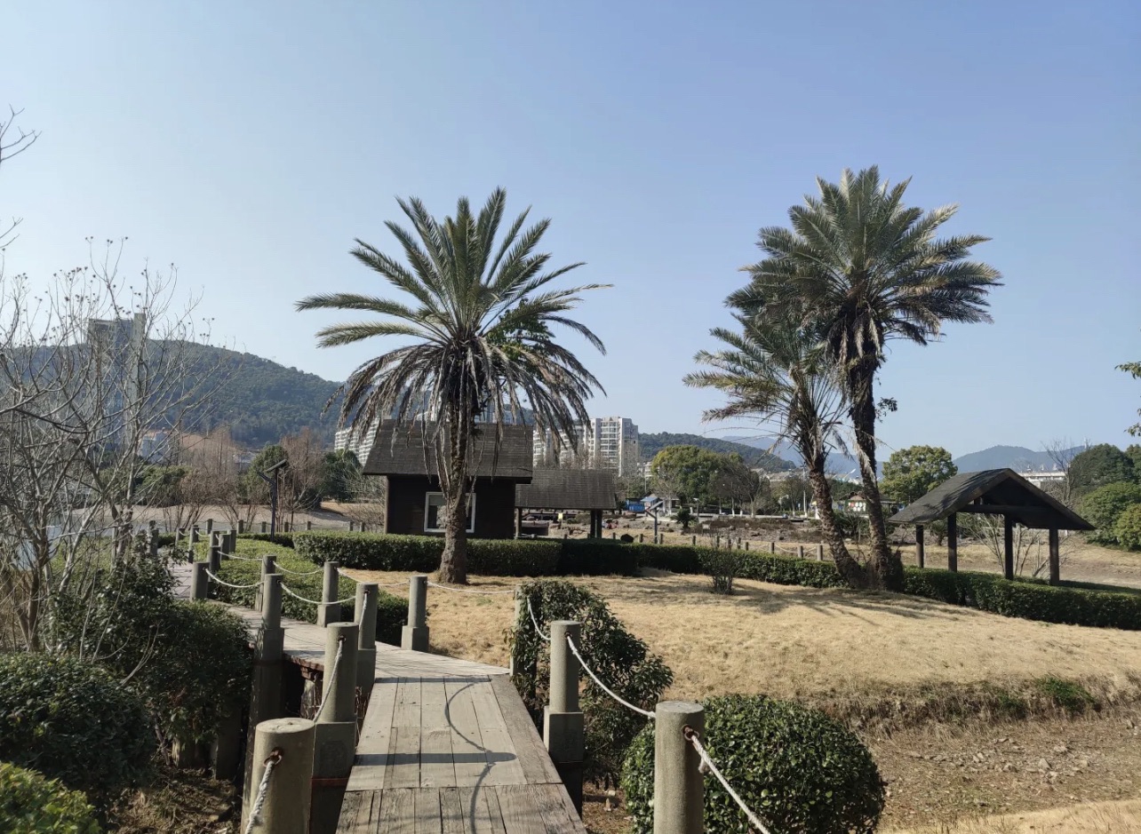 心湖公园旅行图片 3