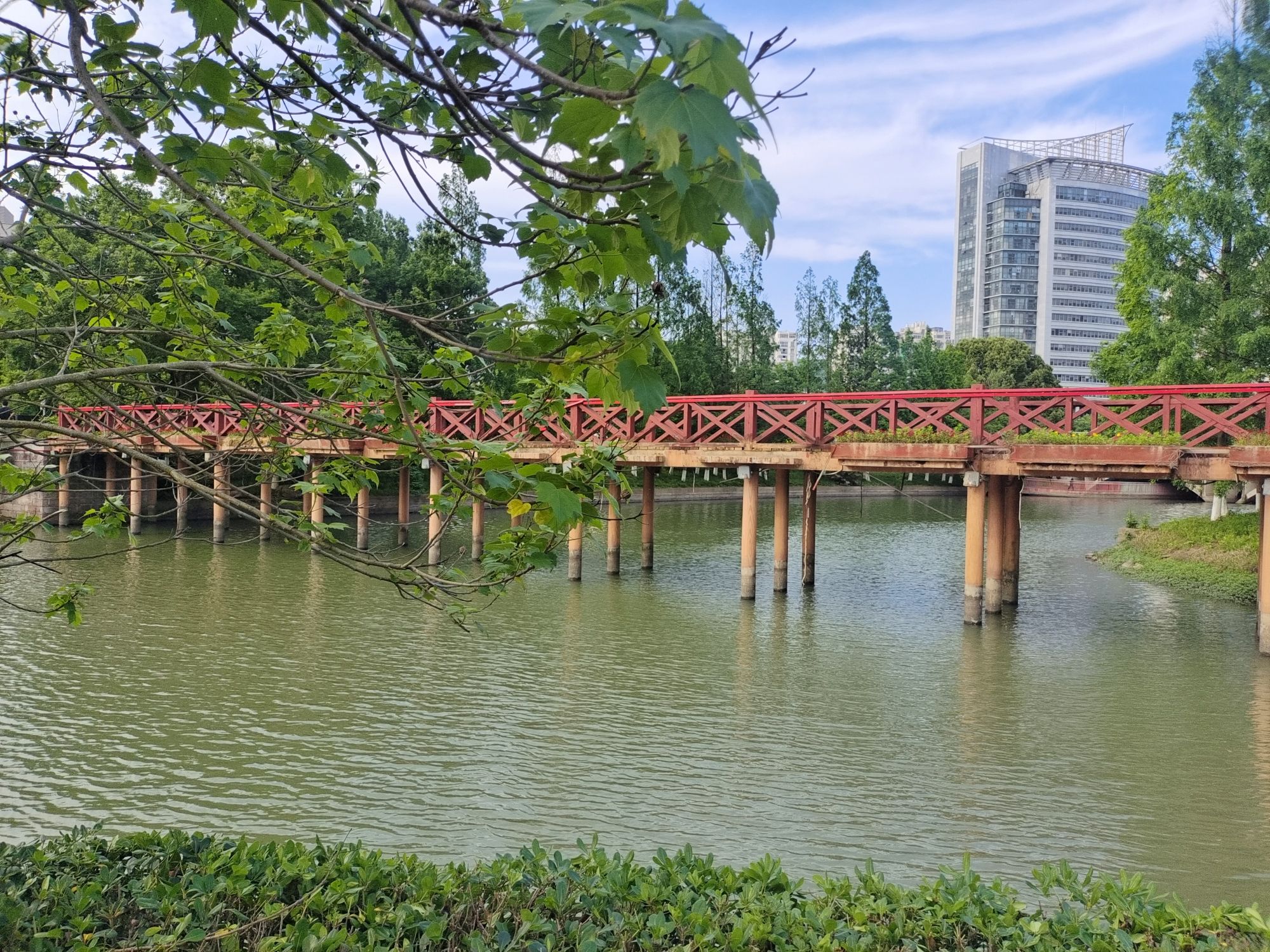 心湖公园旅行图片 2