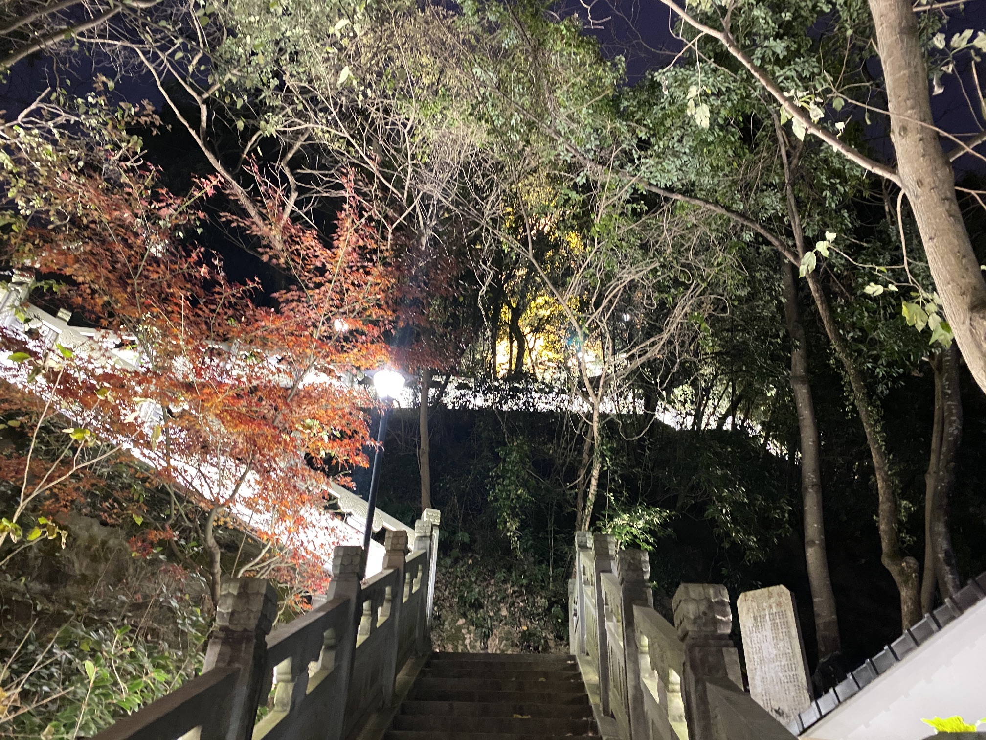 靖江山公园旅行图片 3
