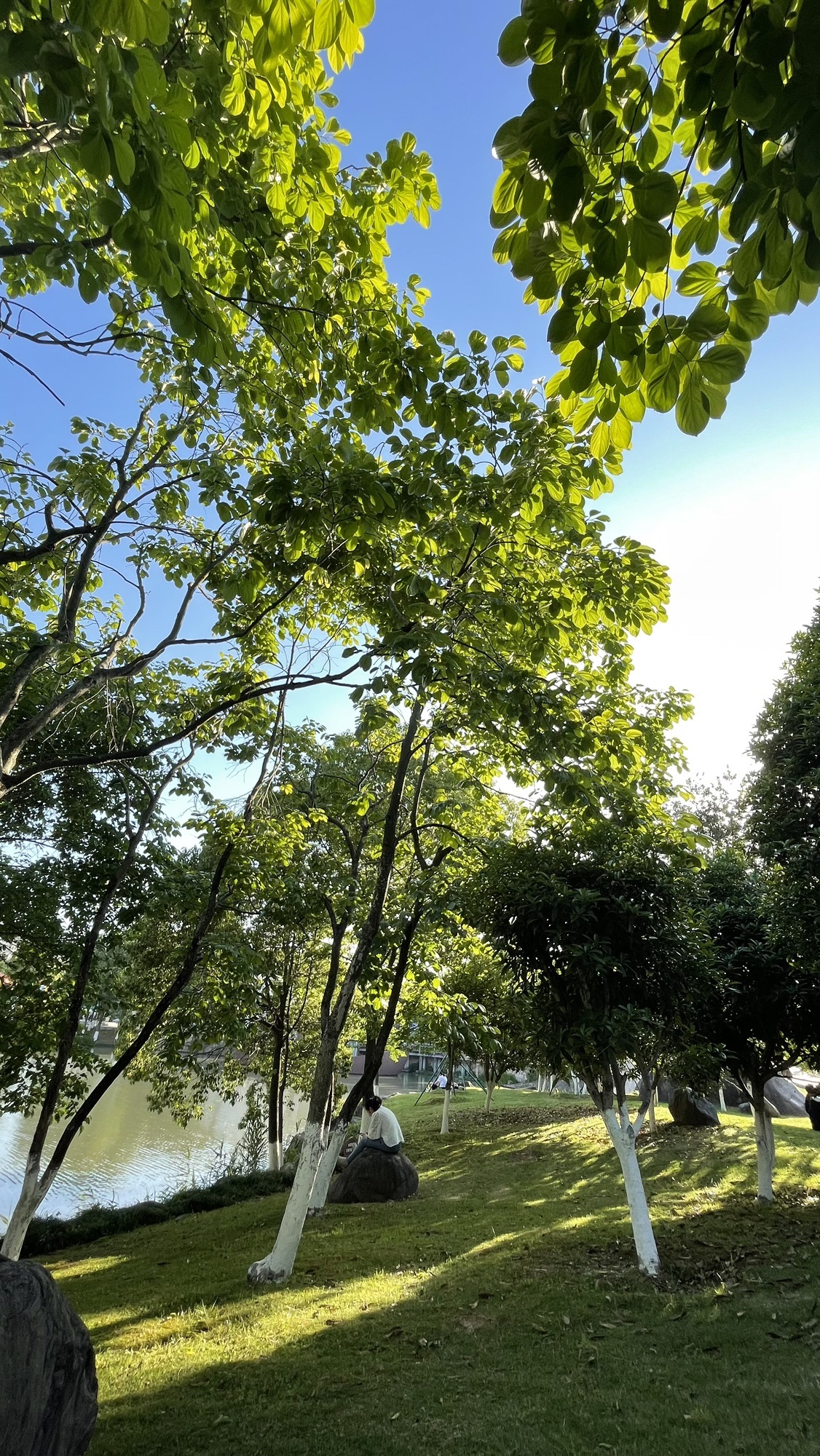 锦屏公园旅行图片 3
