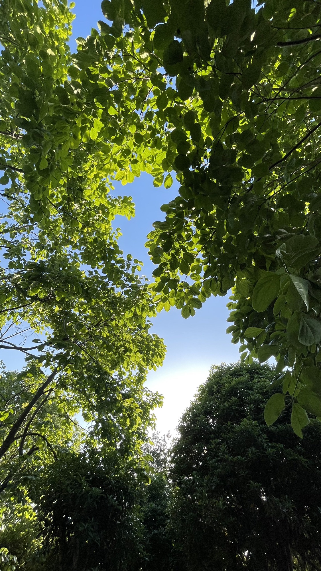 锦屏公园旅行图片 2