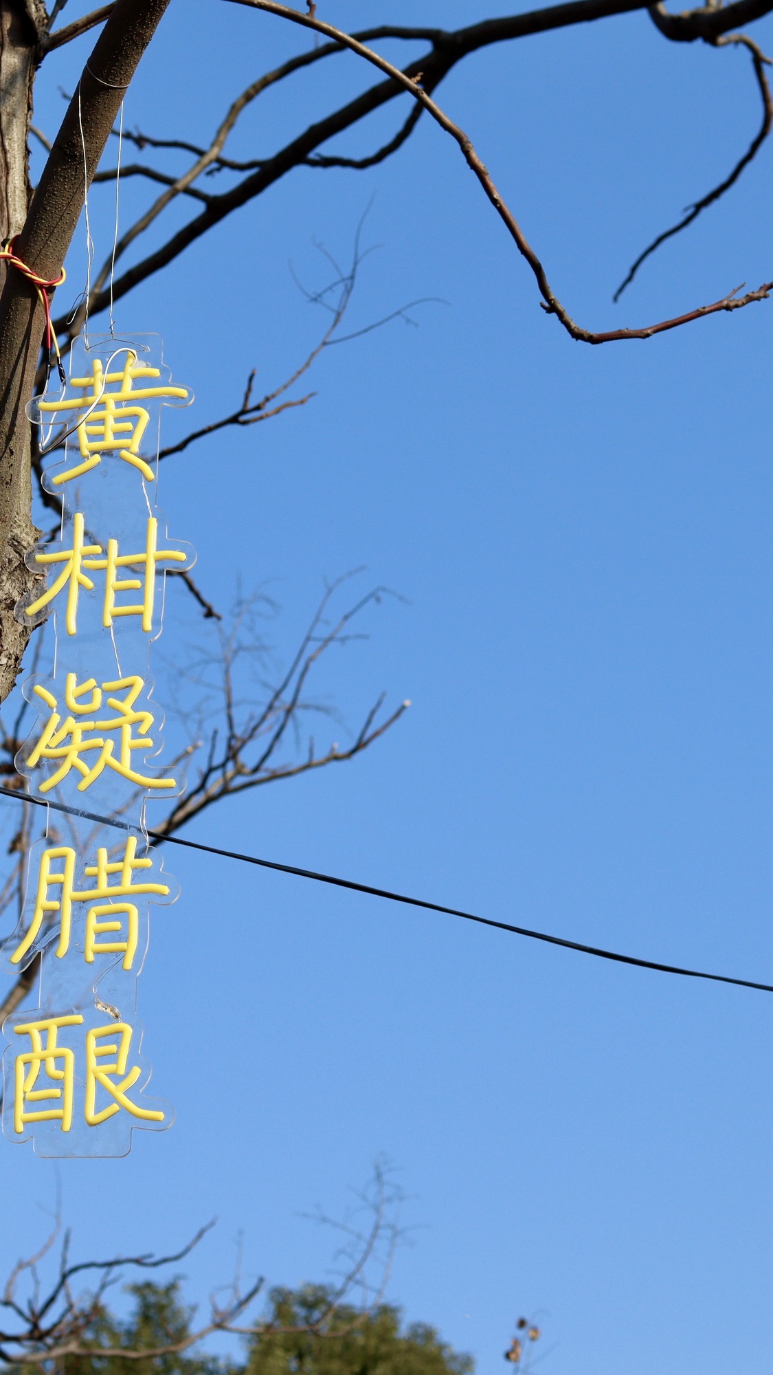 锦屏公园旅行图片 3
