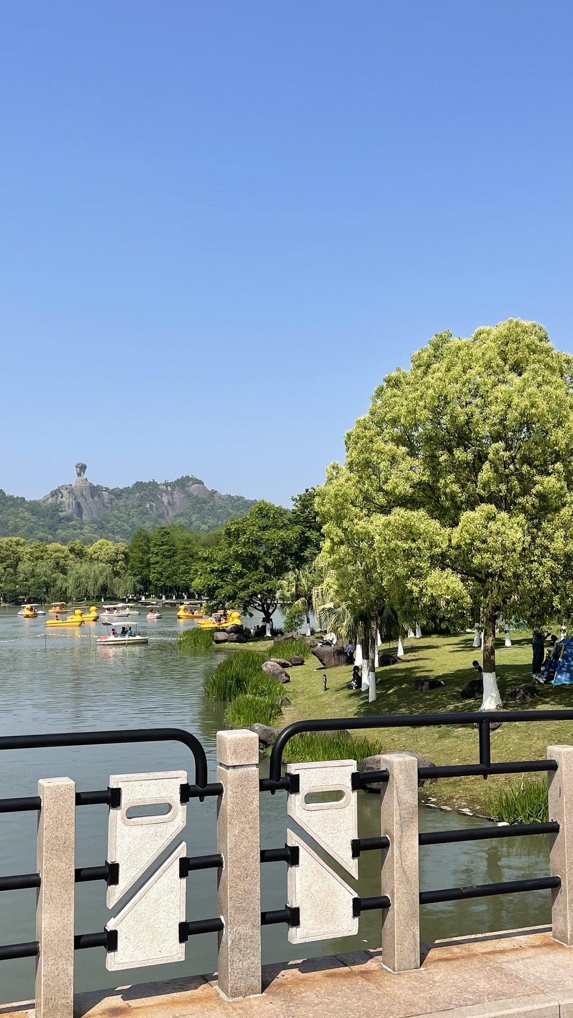 锦屏公园旅行图片 1