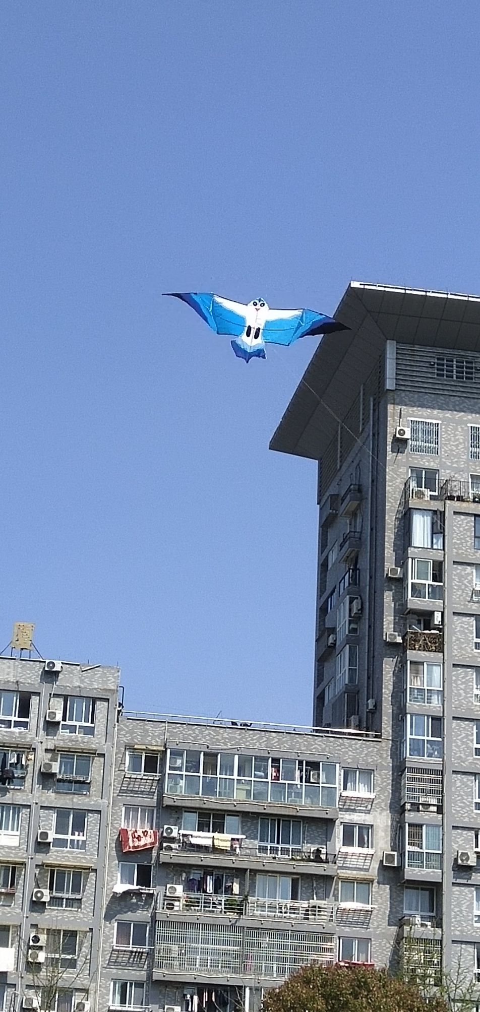 锦屏公园旅行图片 2