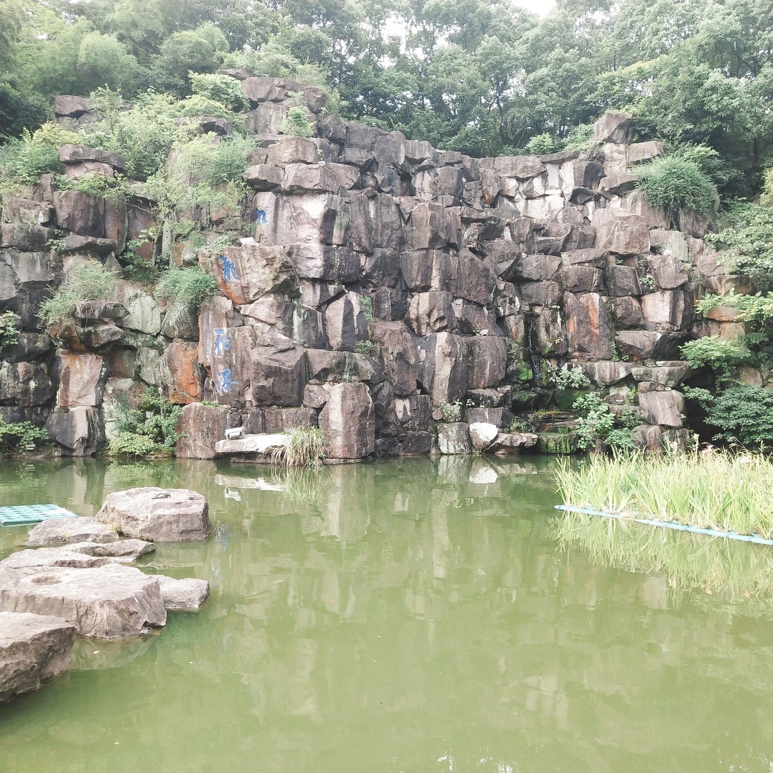 锦屏公园旅行图片 1