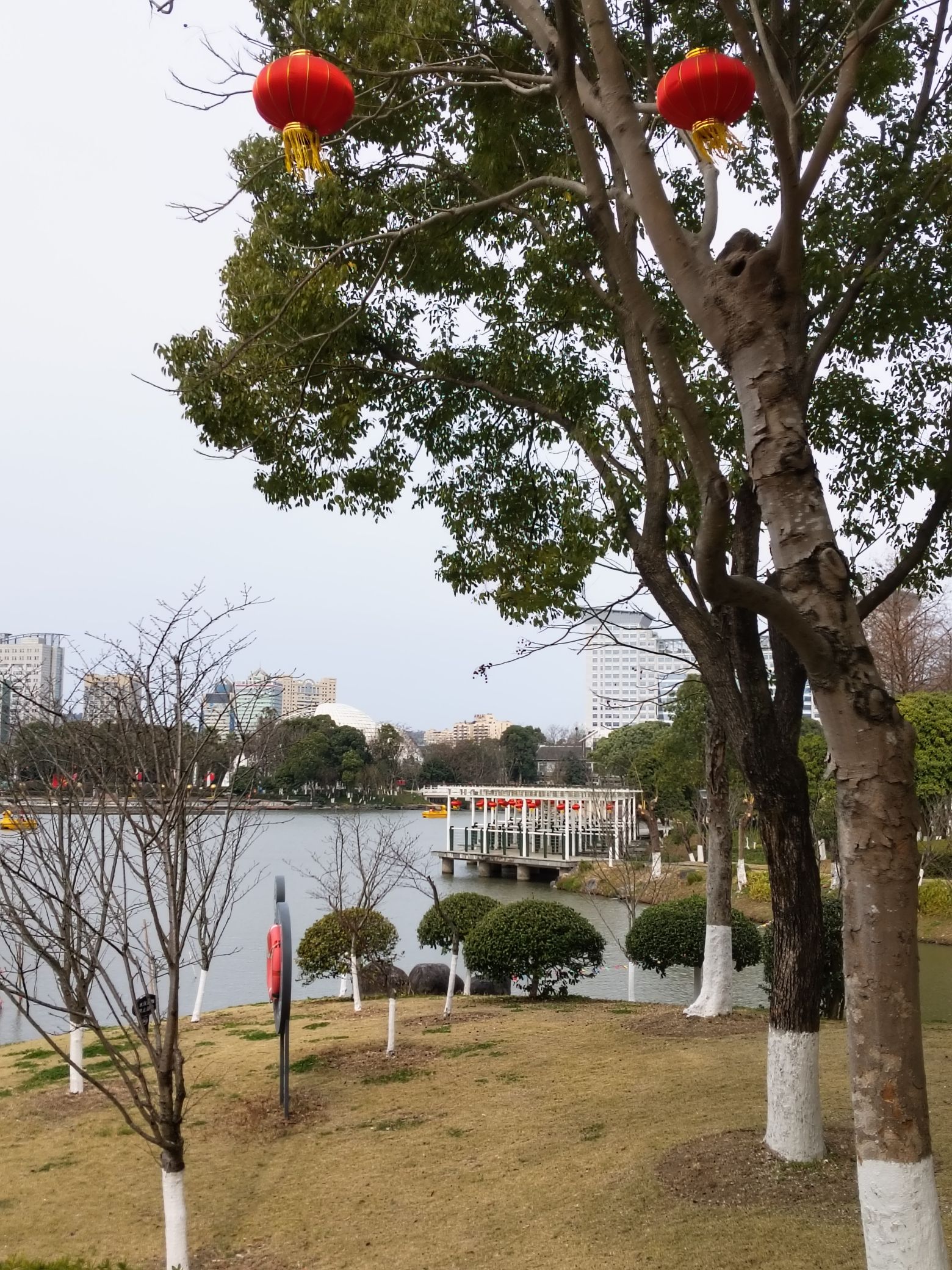 锦屏公园旅行图片 1