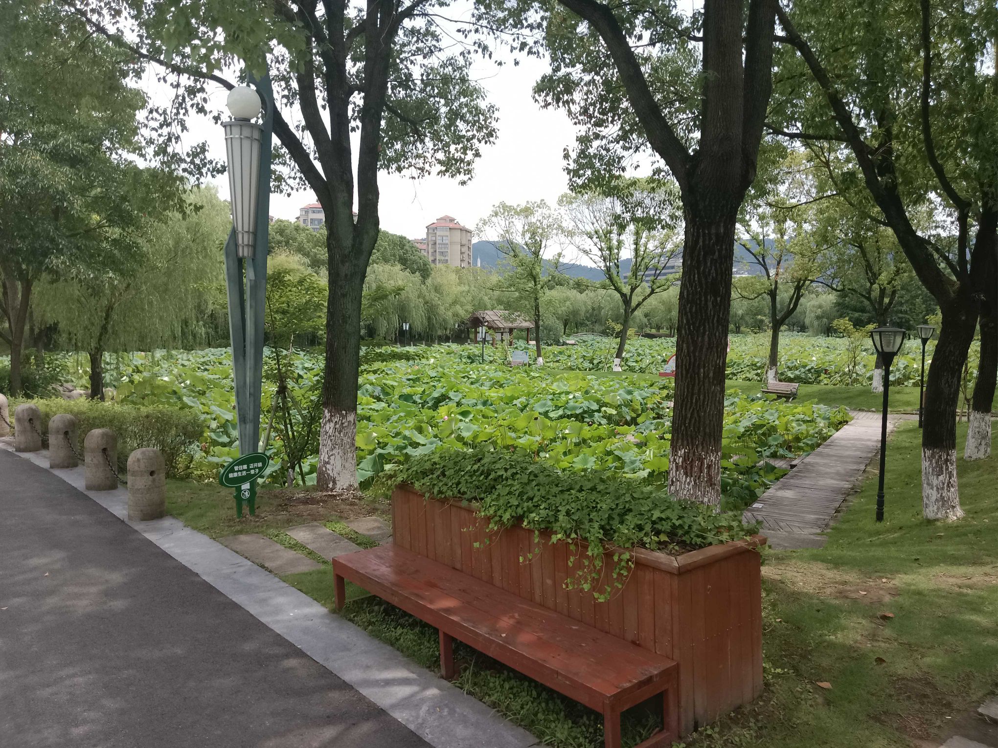 玉环漩门湾观光农业园旅行图片 2