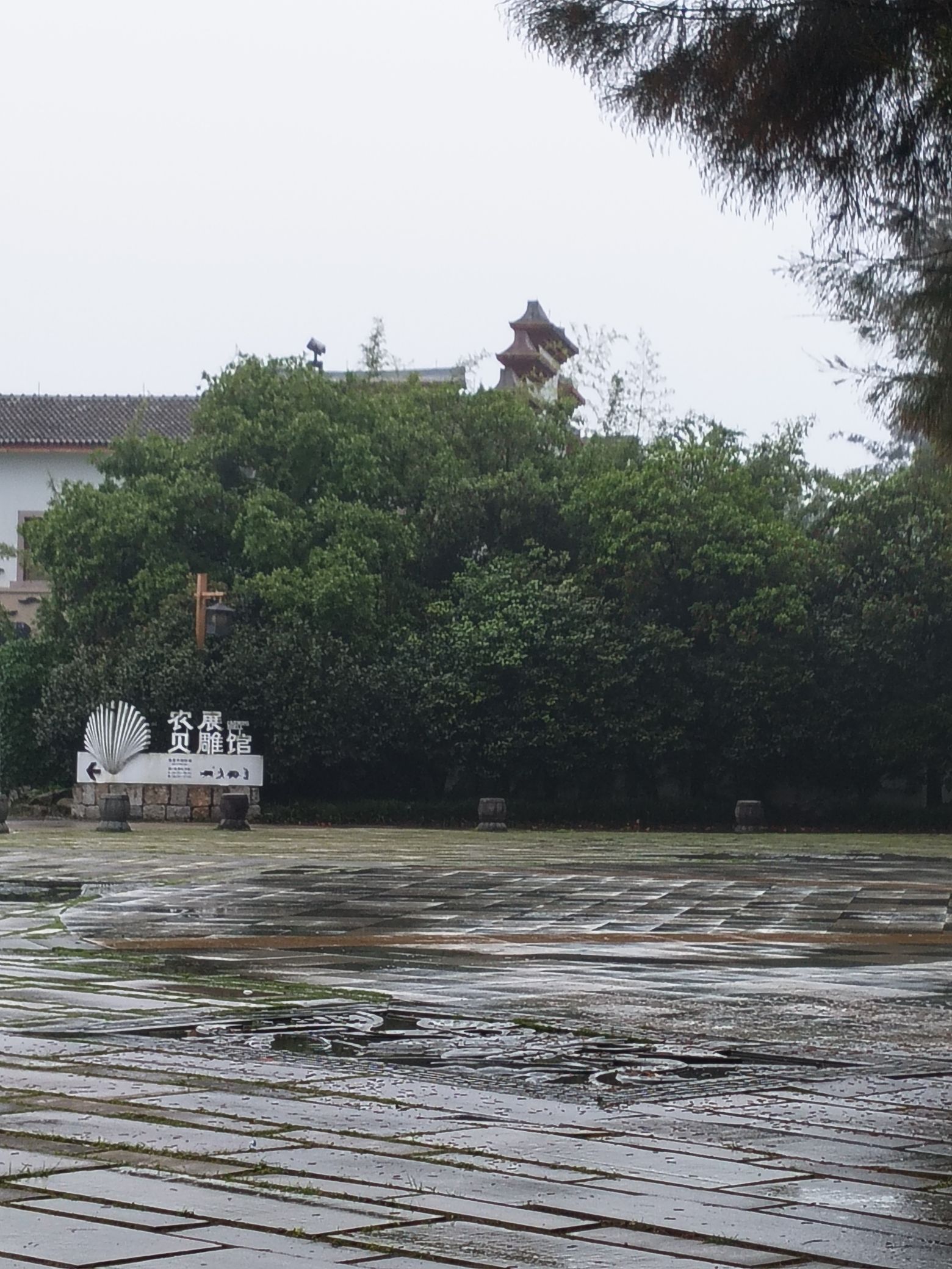 玉环漩门湾观光农业园旅行图片 3