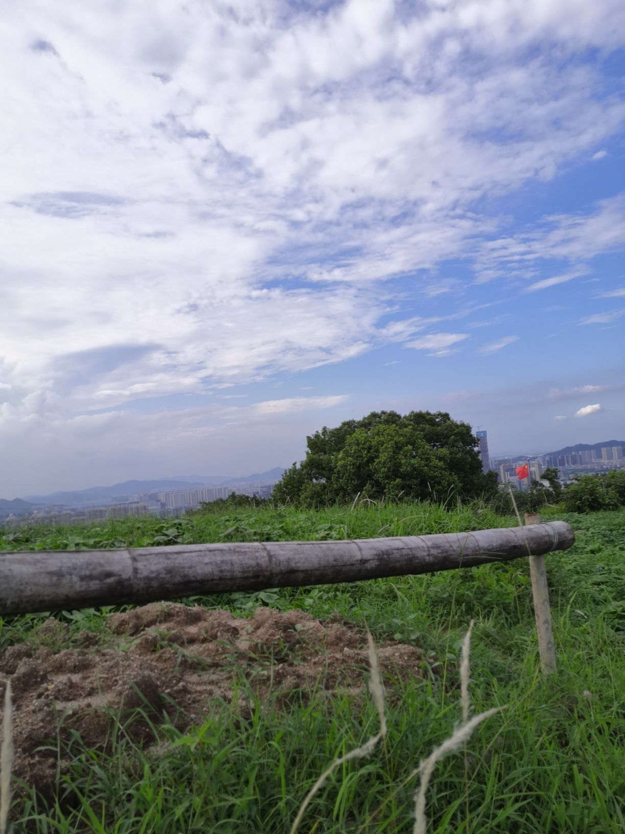 虎山公园旅行图片 2