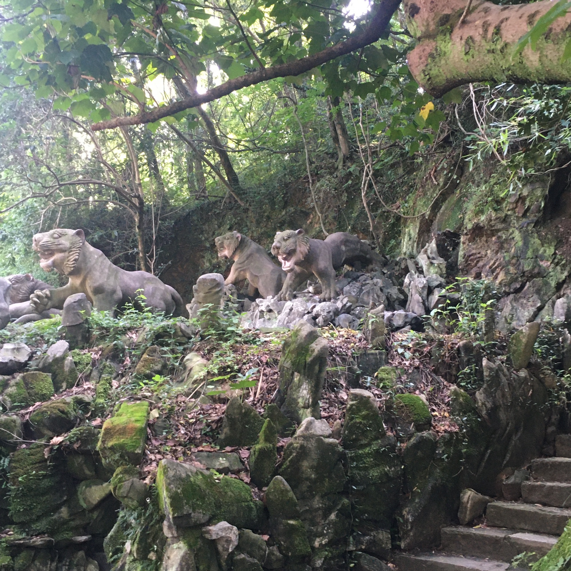 虎山公园旅行图片 1