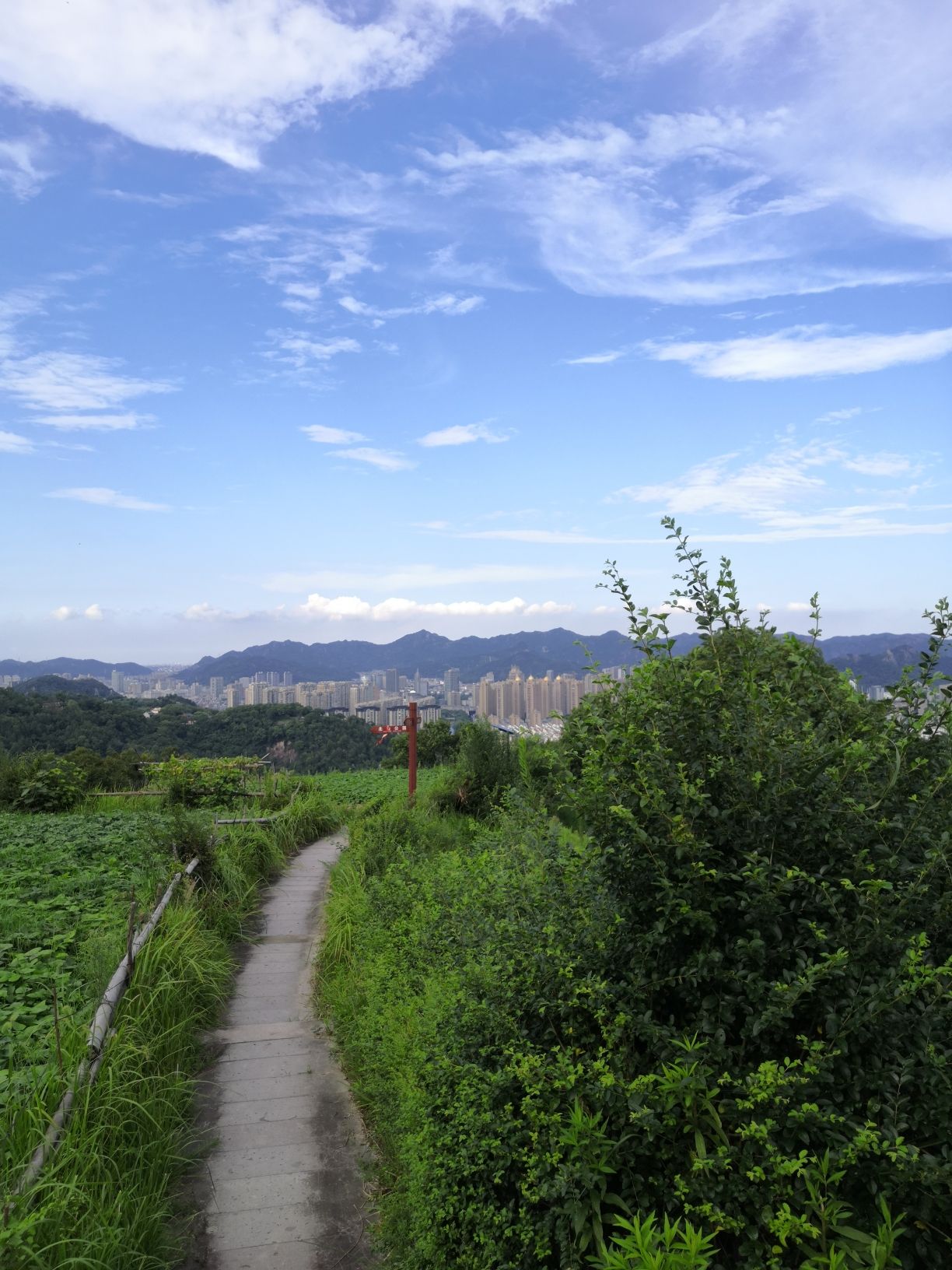 虎山公园旅行图片 1