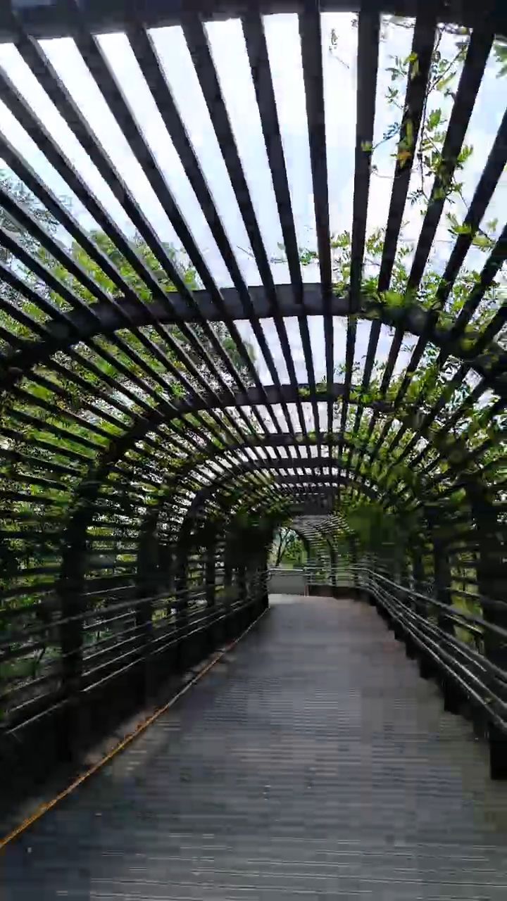 白云飞瀑公园旅行图片 2