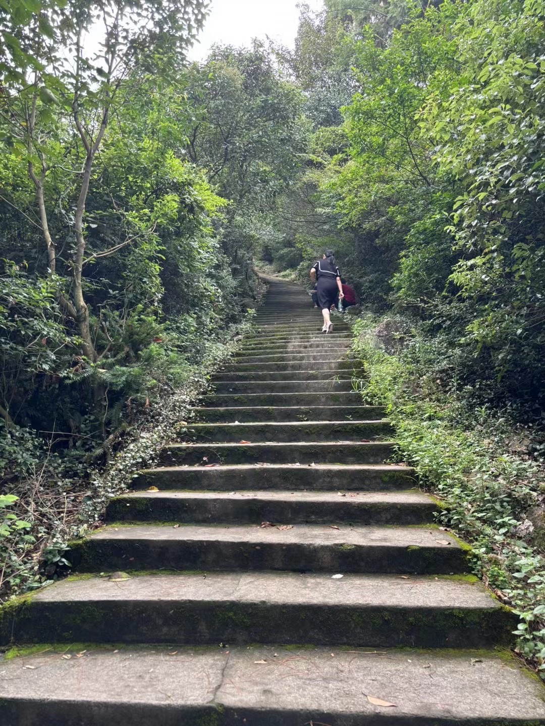 楼旗尖风景名胜区旅行图片 2