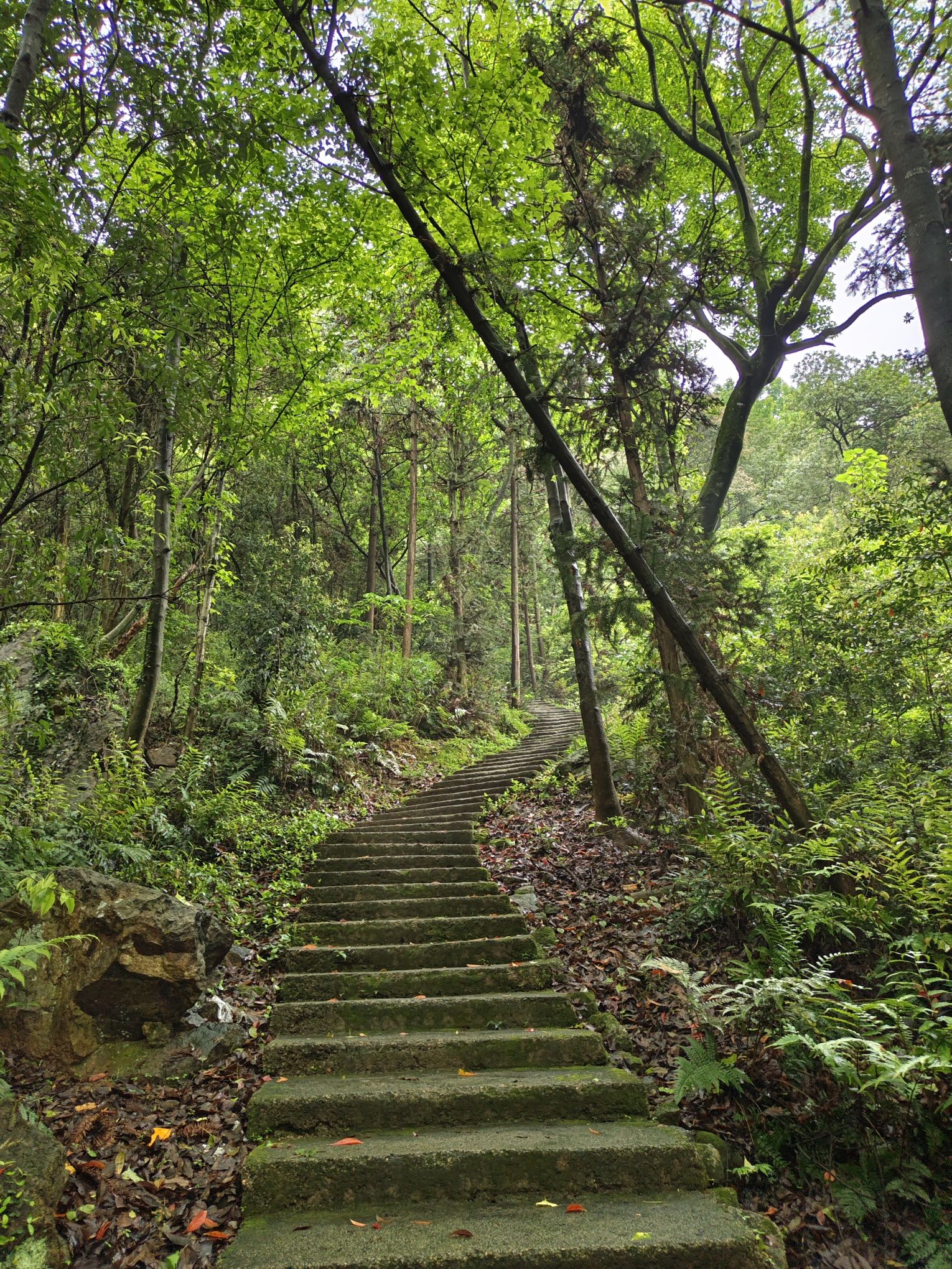 楼旗尖风景名胜区旅行图片 2