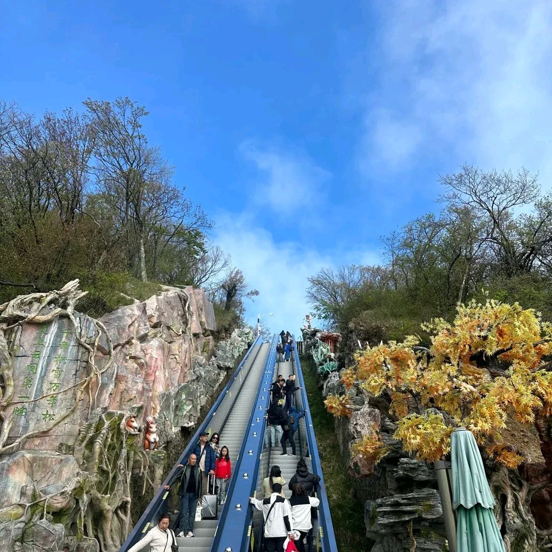 龙山胜景旅行图片 2