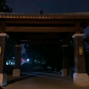 五凤公园旅行图片 2