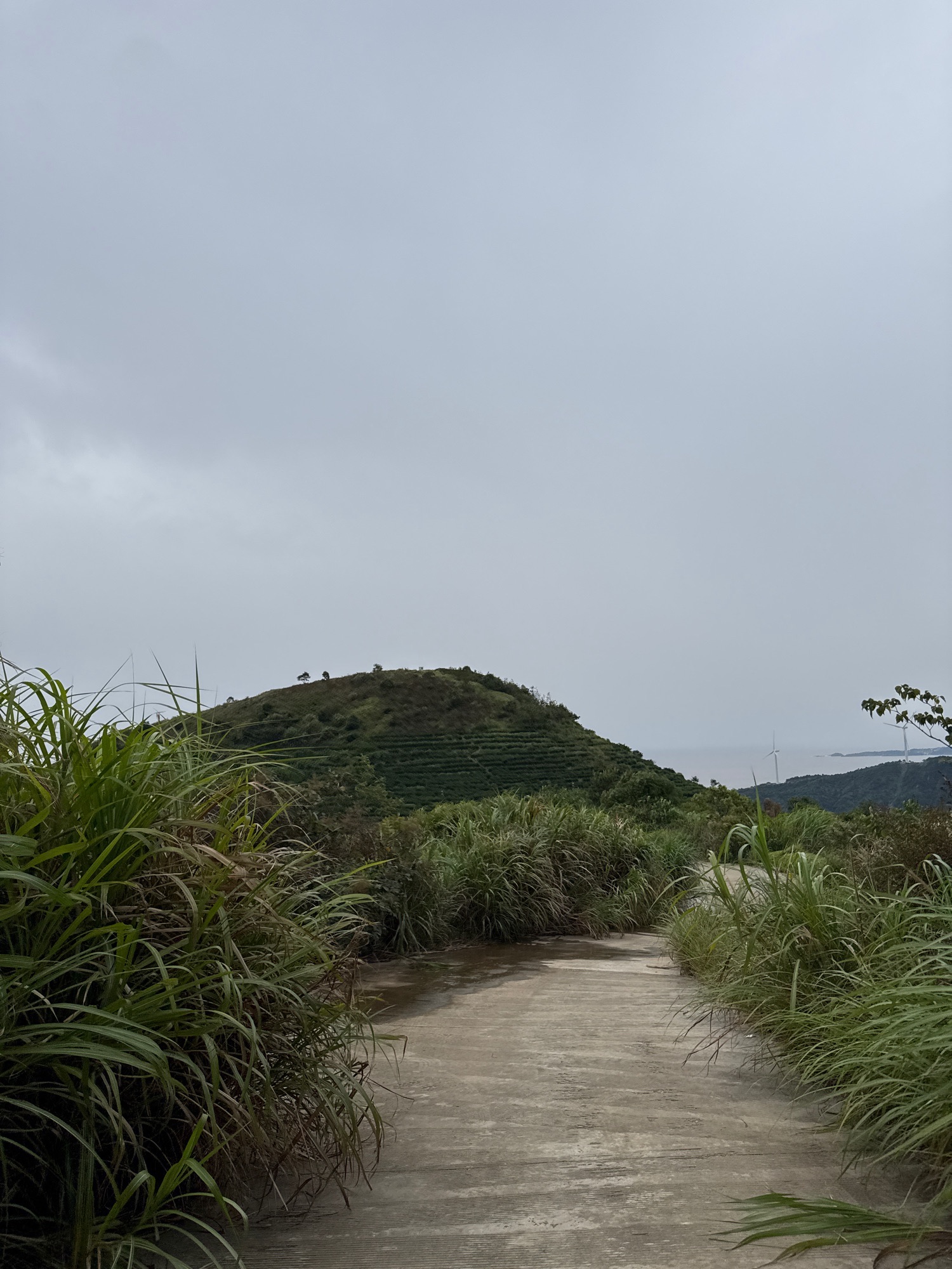 火山口遗址旅行图片 2