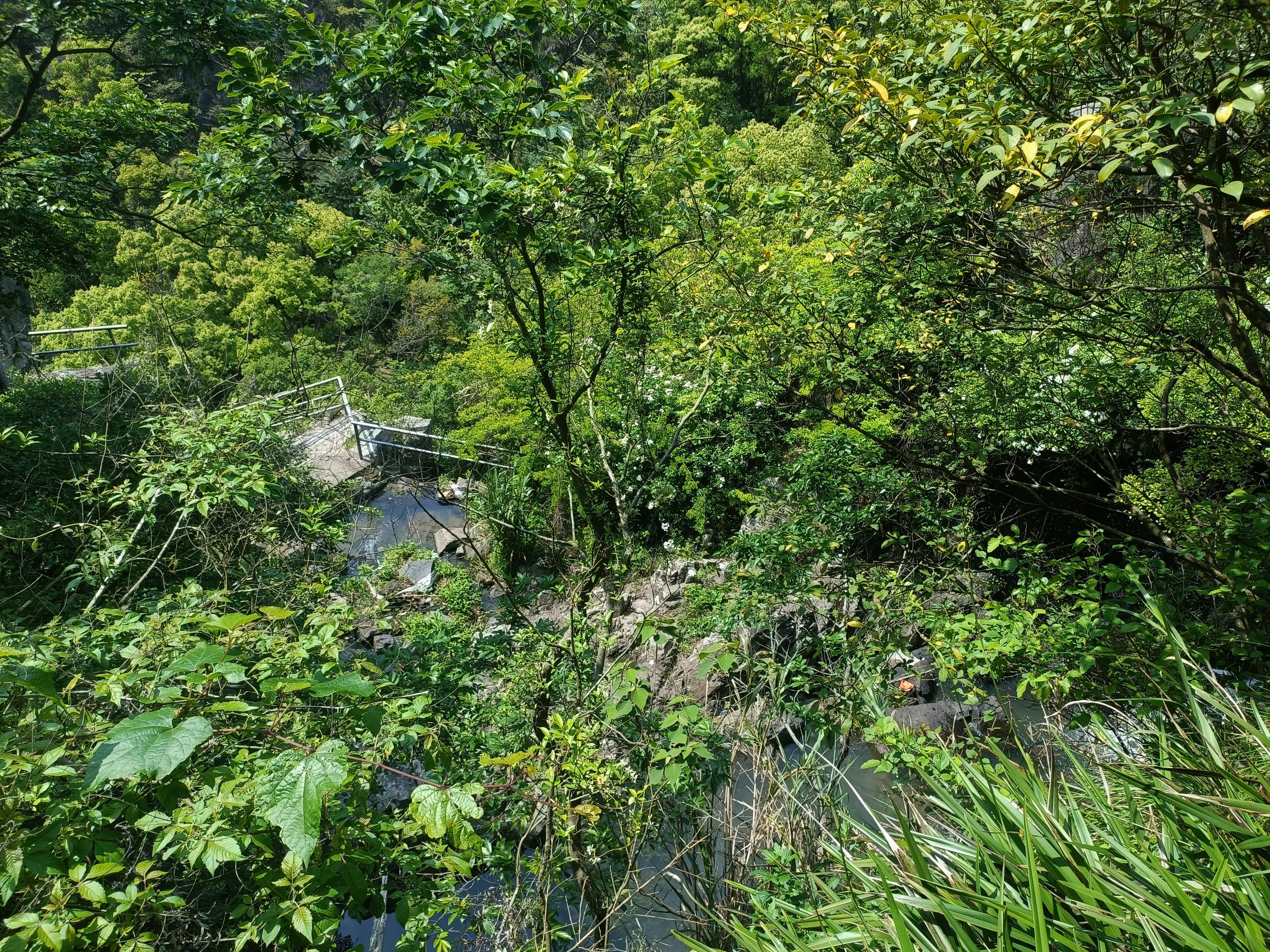 火山口遗址旅行图片 1