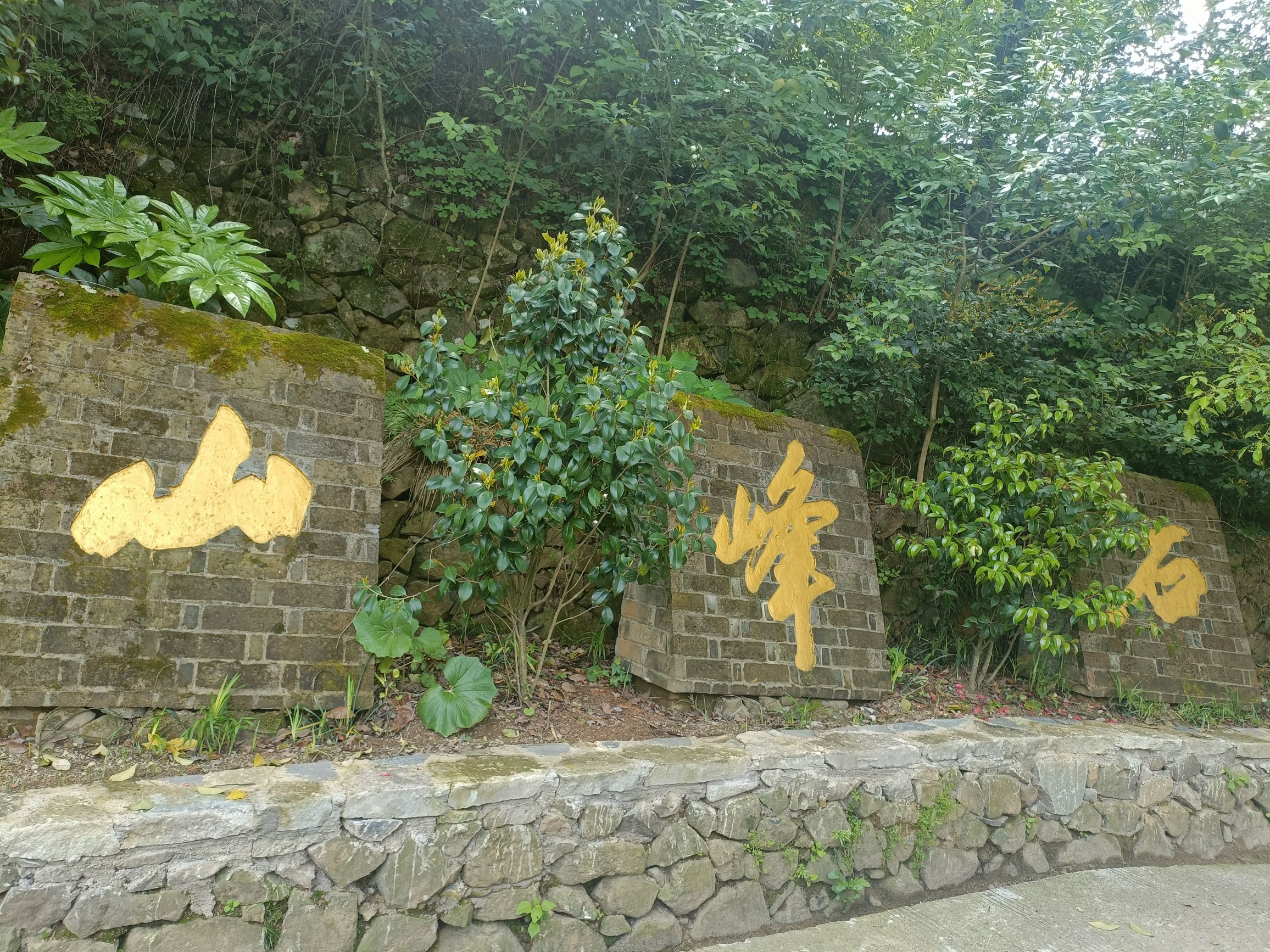 火山口遗址旅行图片 3