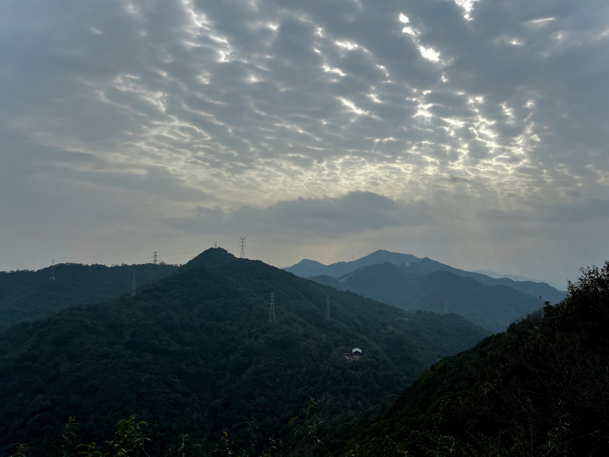 石浜公园旅行图片 1