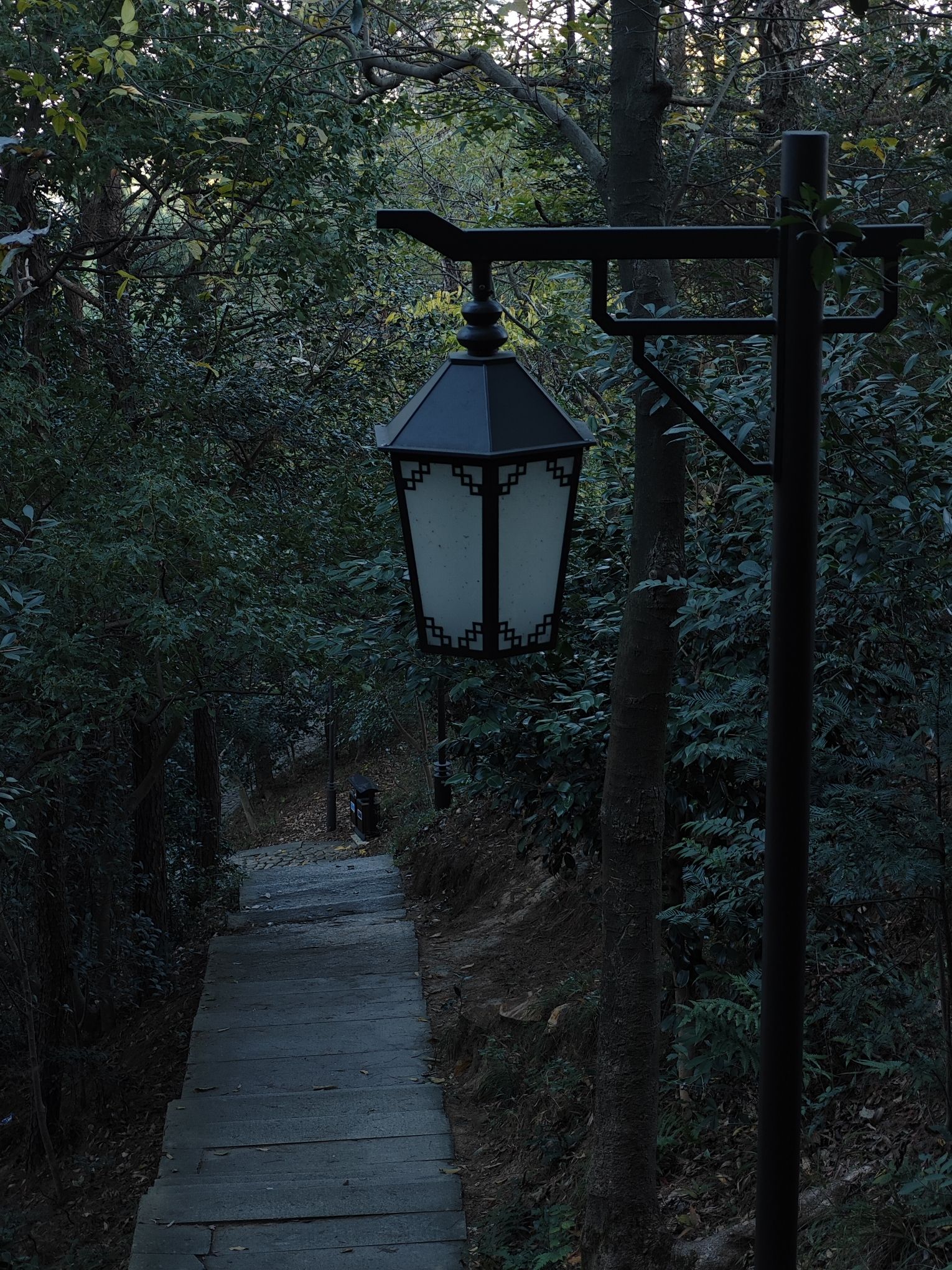 石浜公园旅行图片 1