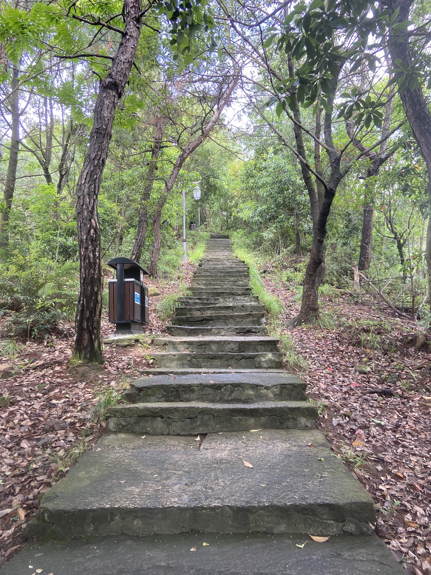 石浜公园旅行图片 1