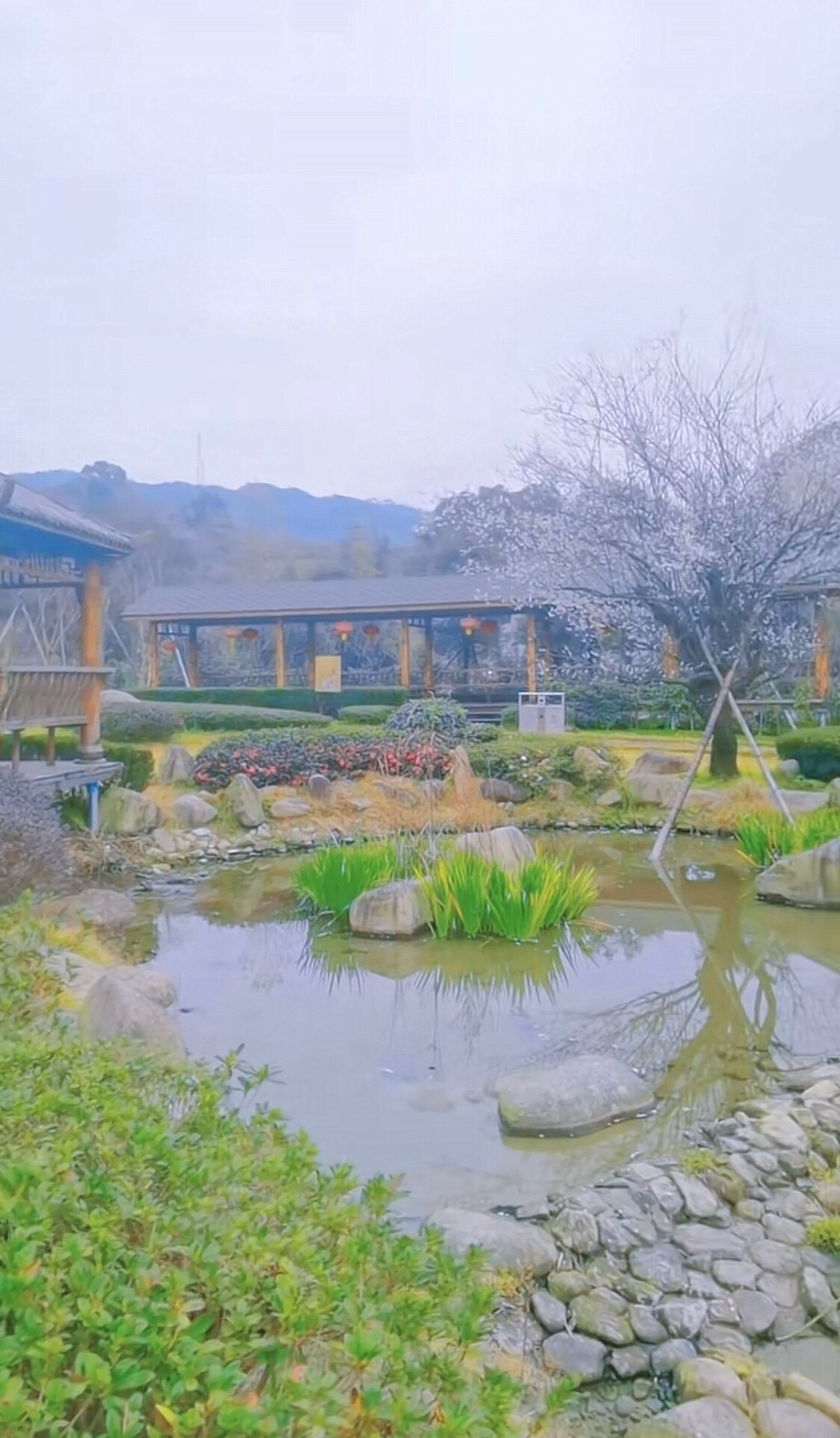 江厦森林公园旅行图片 1