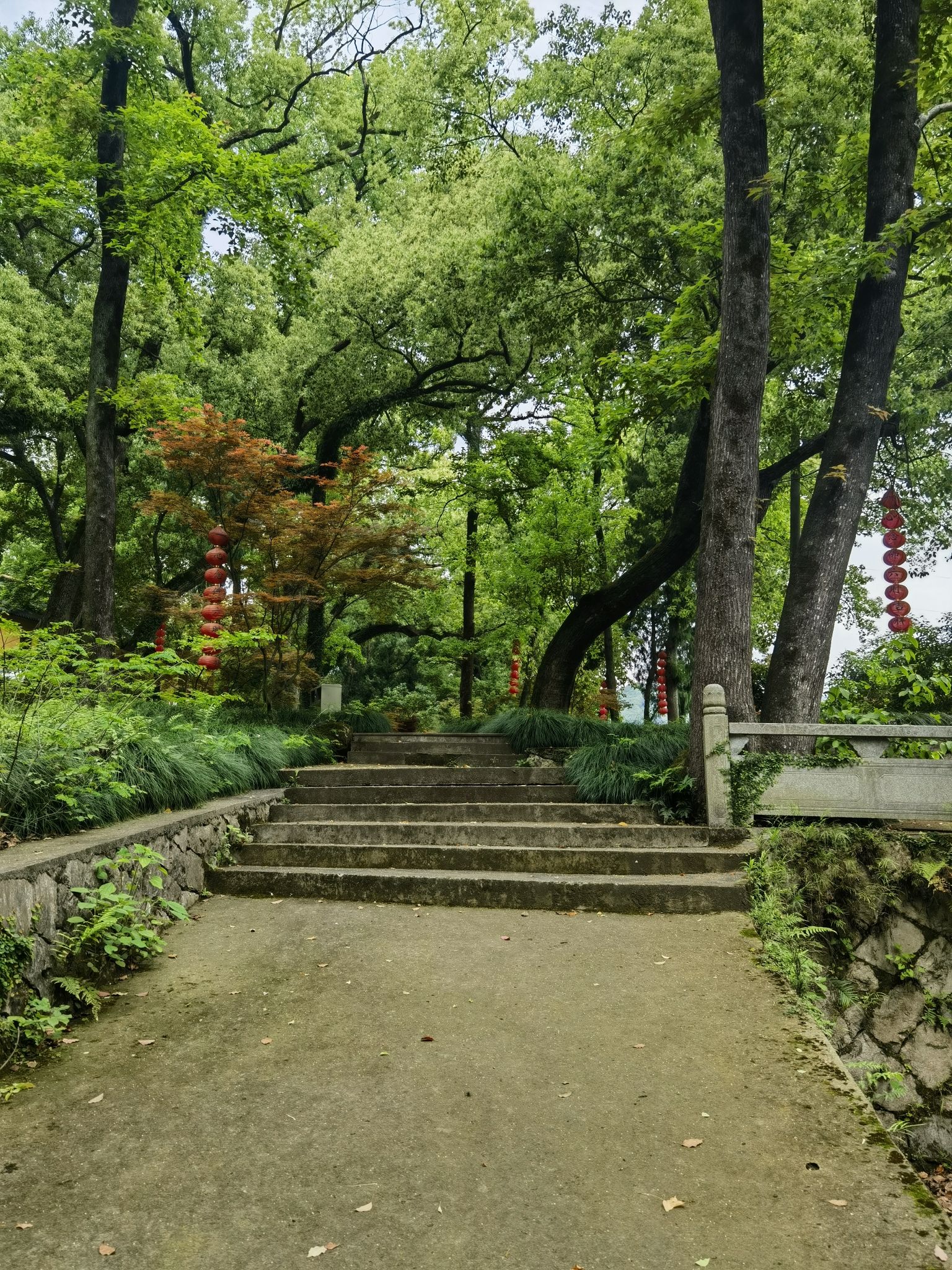 江厦森林公园旅行图片 3