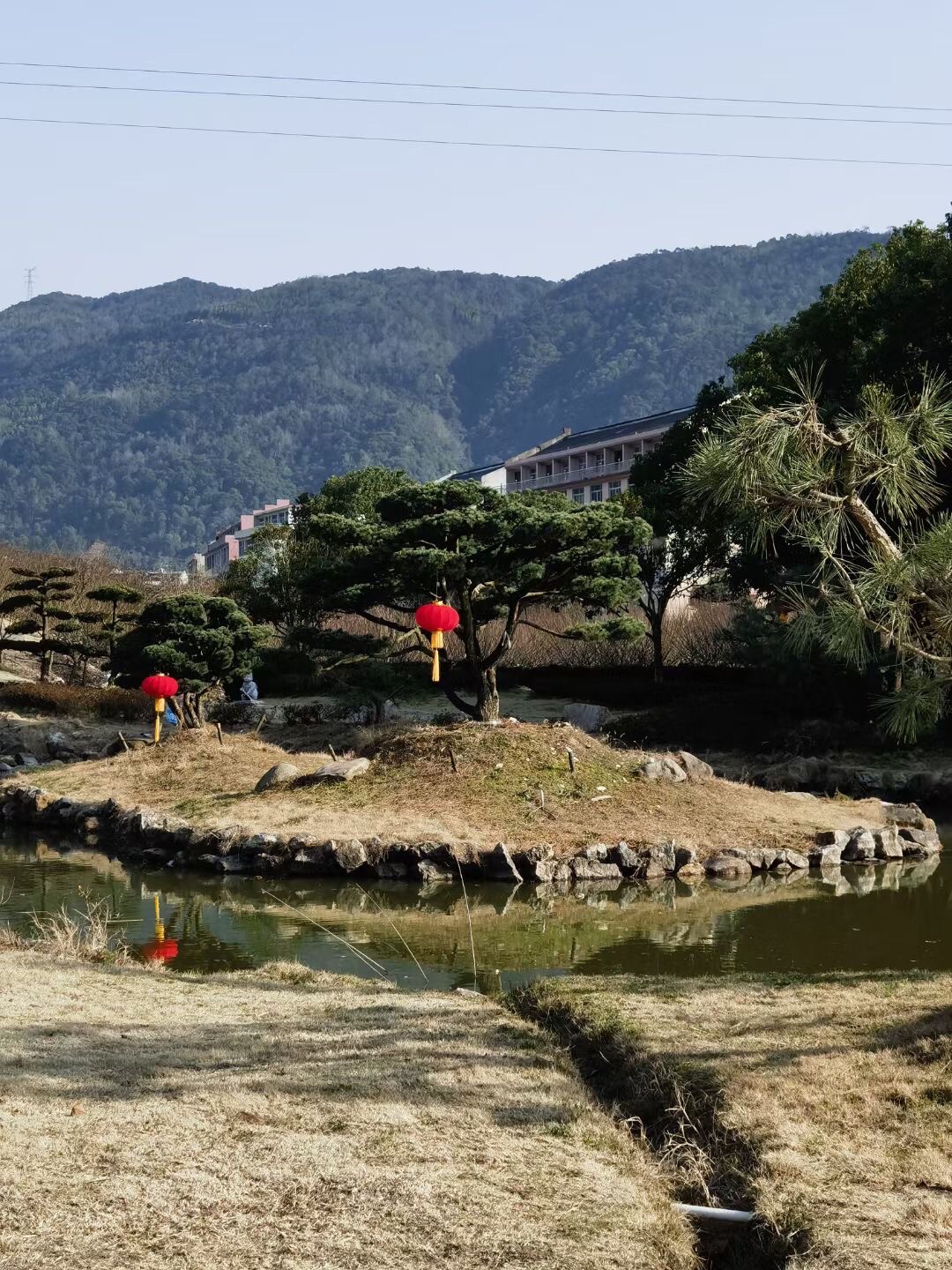 江厦森林公园旅行图片 3