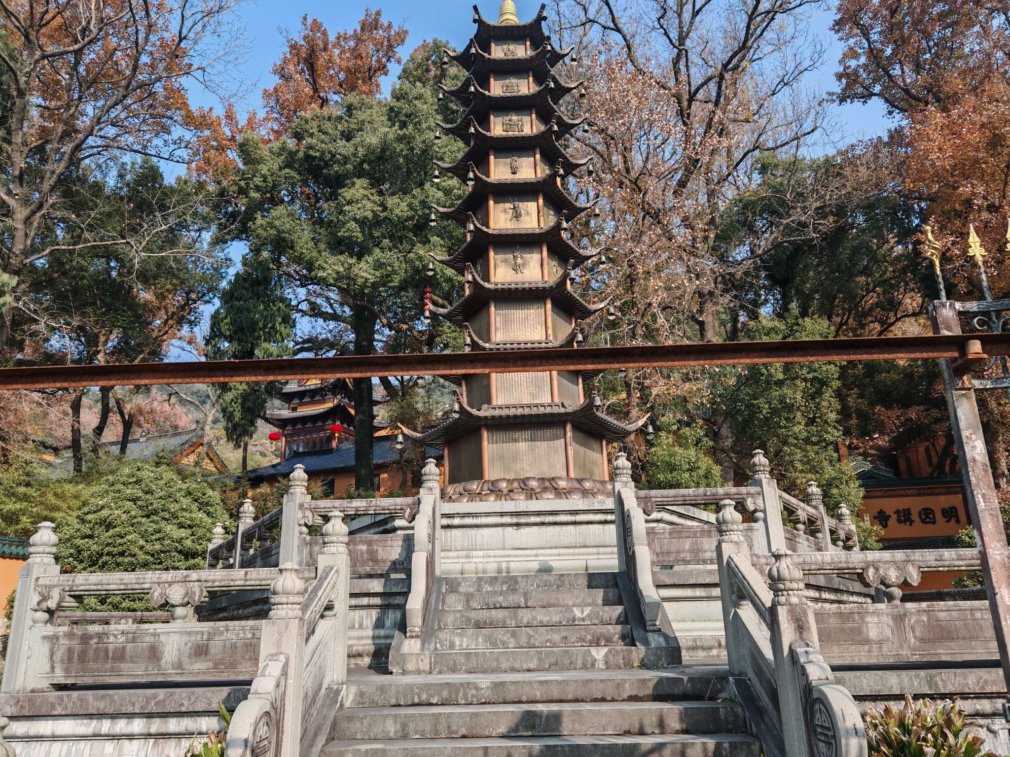 江厦森林公园旅行图片 1