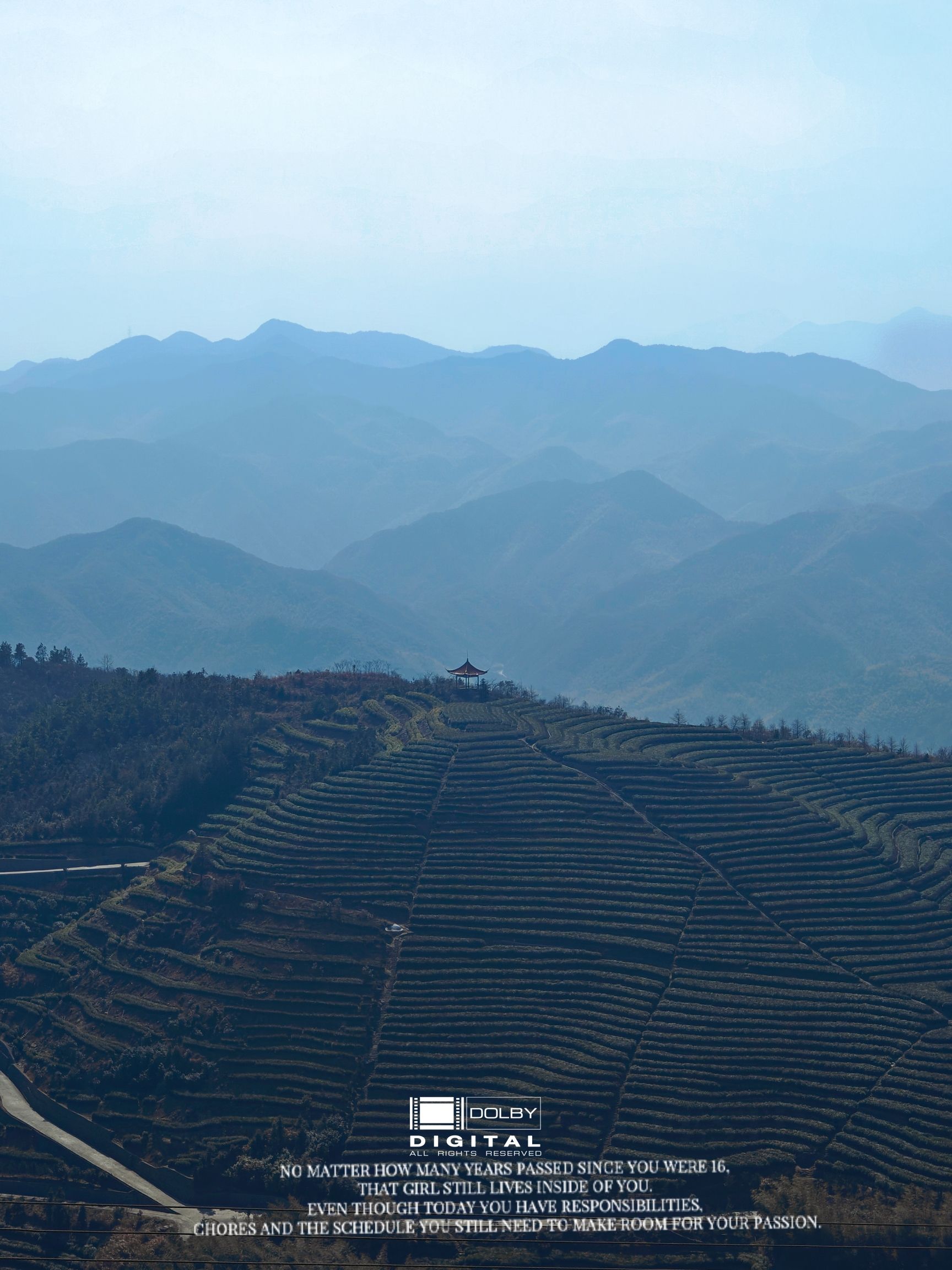 羊岩山茶文化园景区旅行图片 1