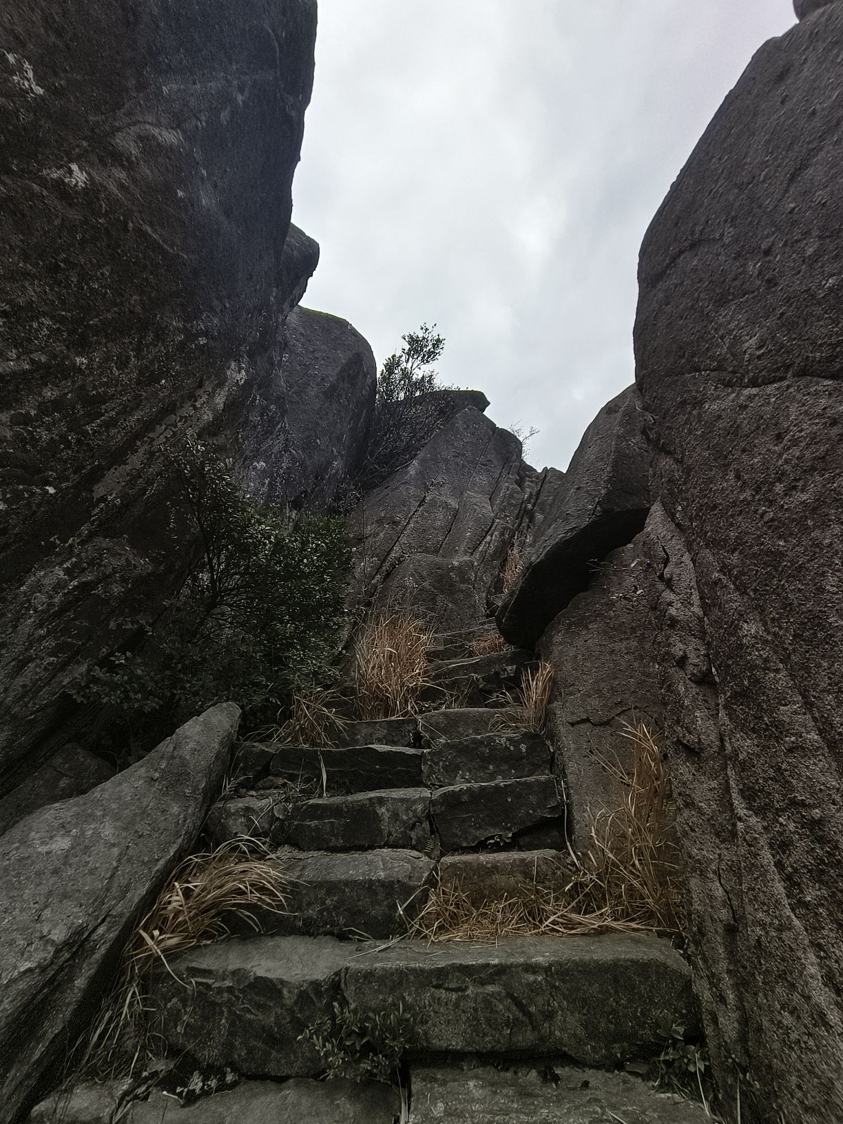 羊岩山茶文化园景区旅行图片 1