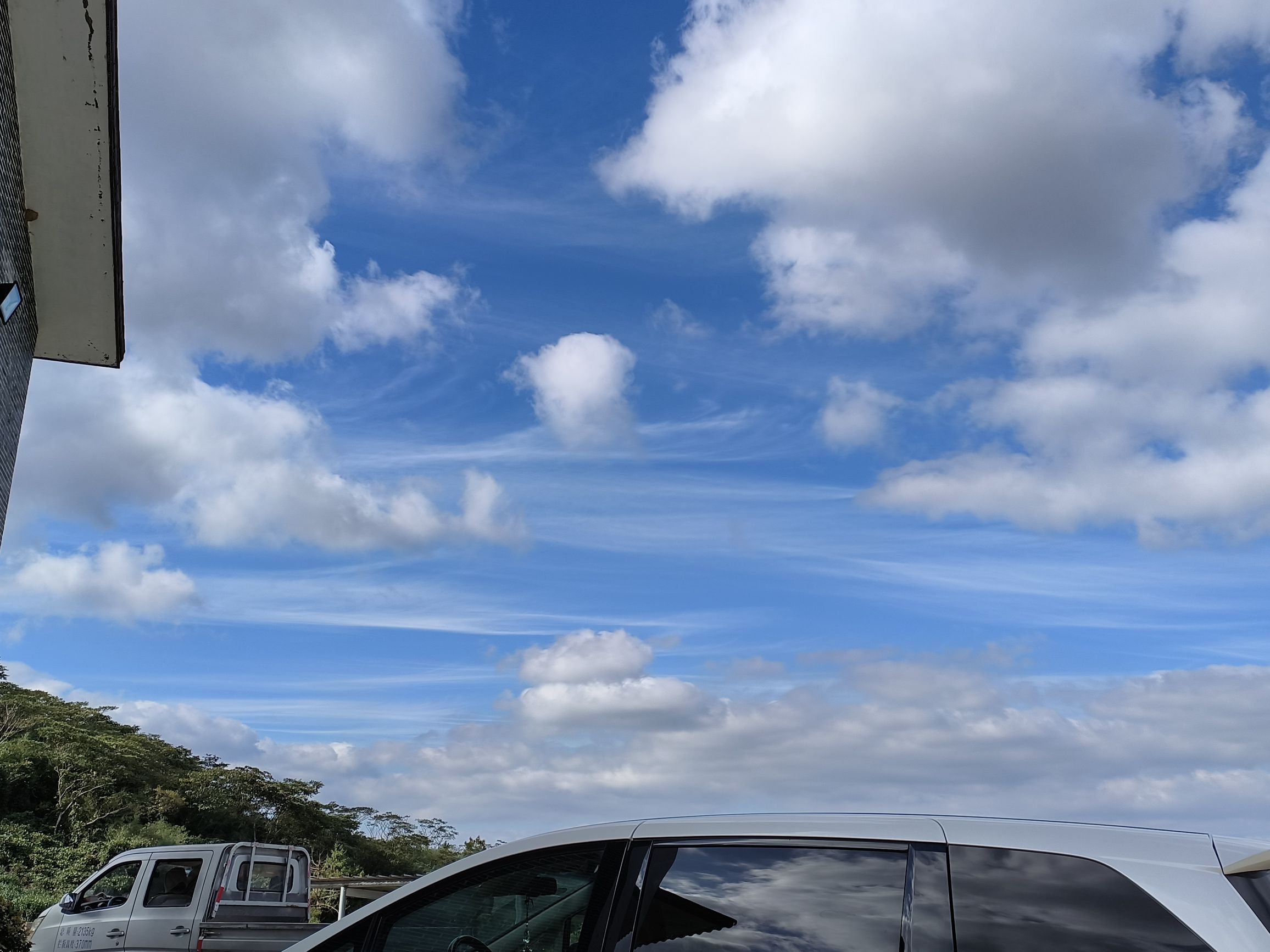 羊岩山茶文化园景区旅行图片 1
