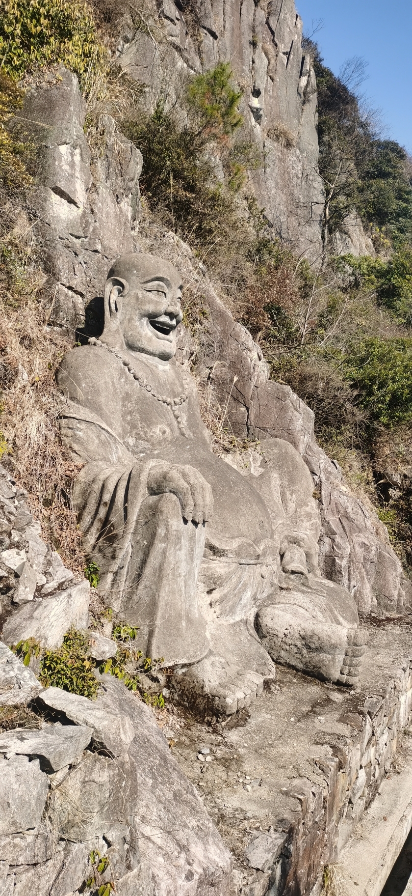 羊岩山茶文化园景区旅行图片 2