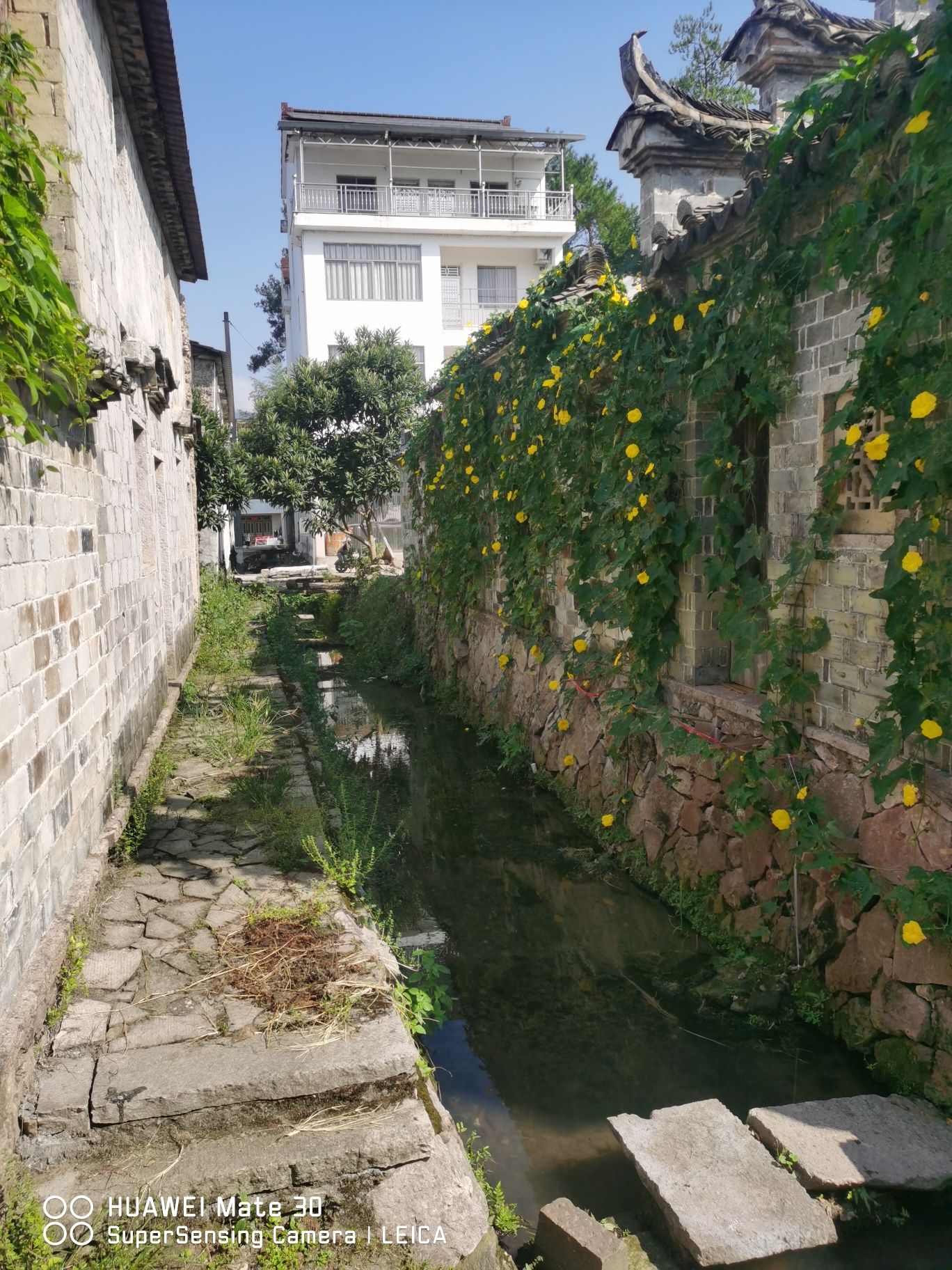 高迁古村旅行图片 2