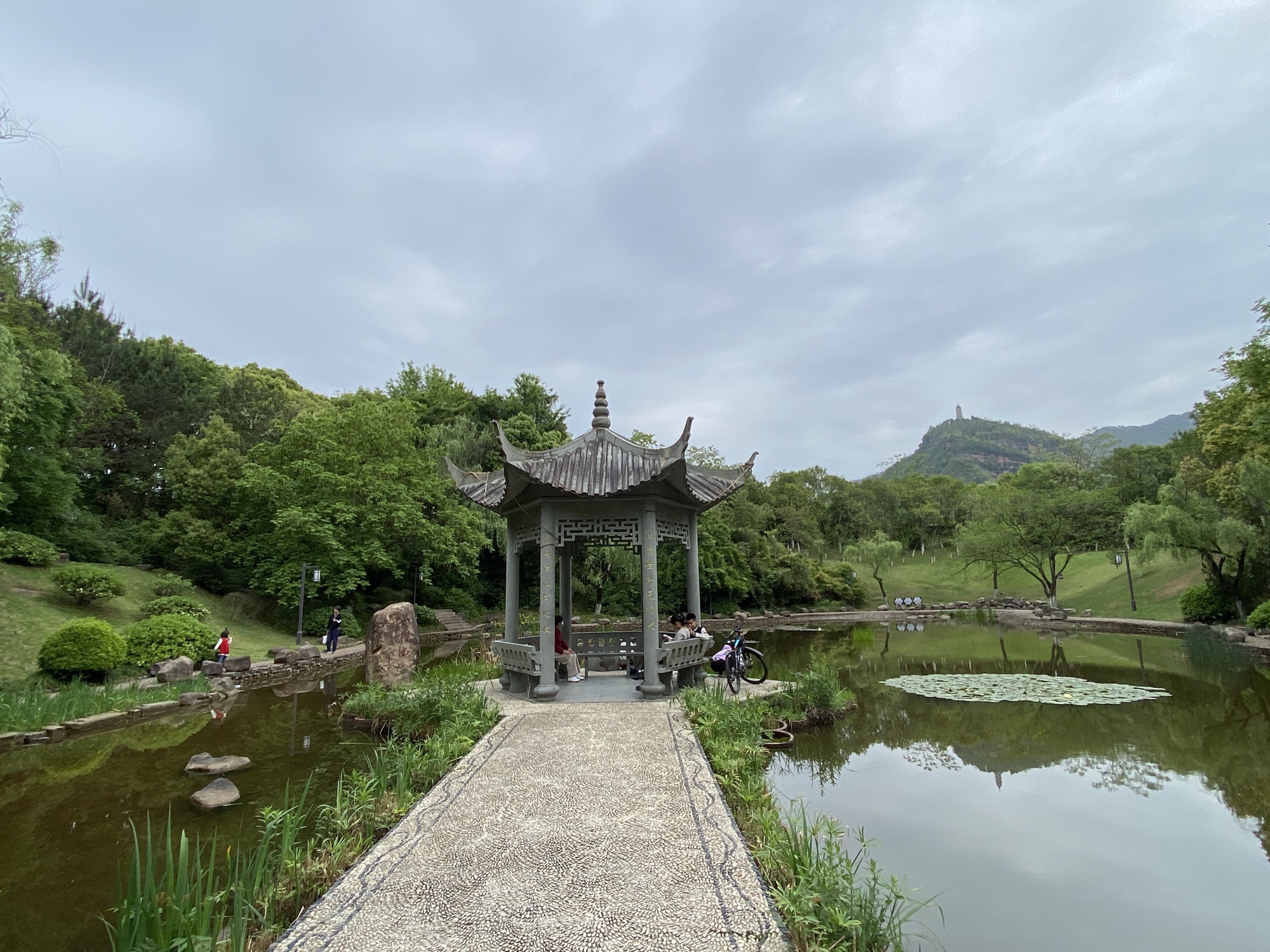 九九回归林旅行图片 3
