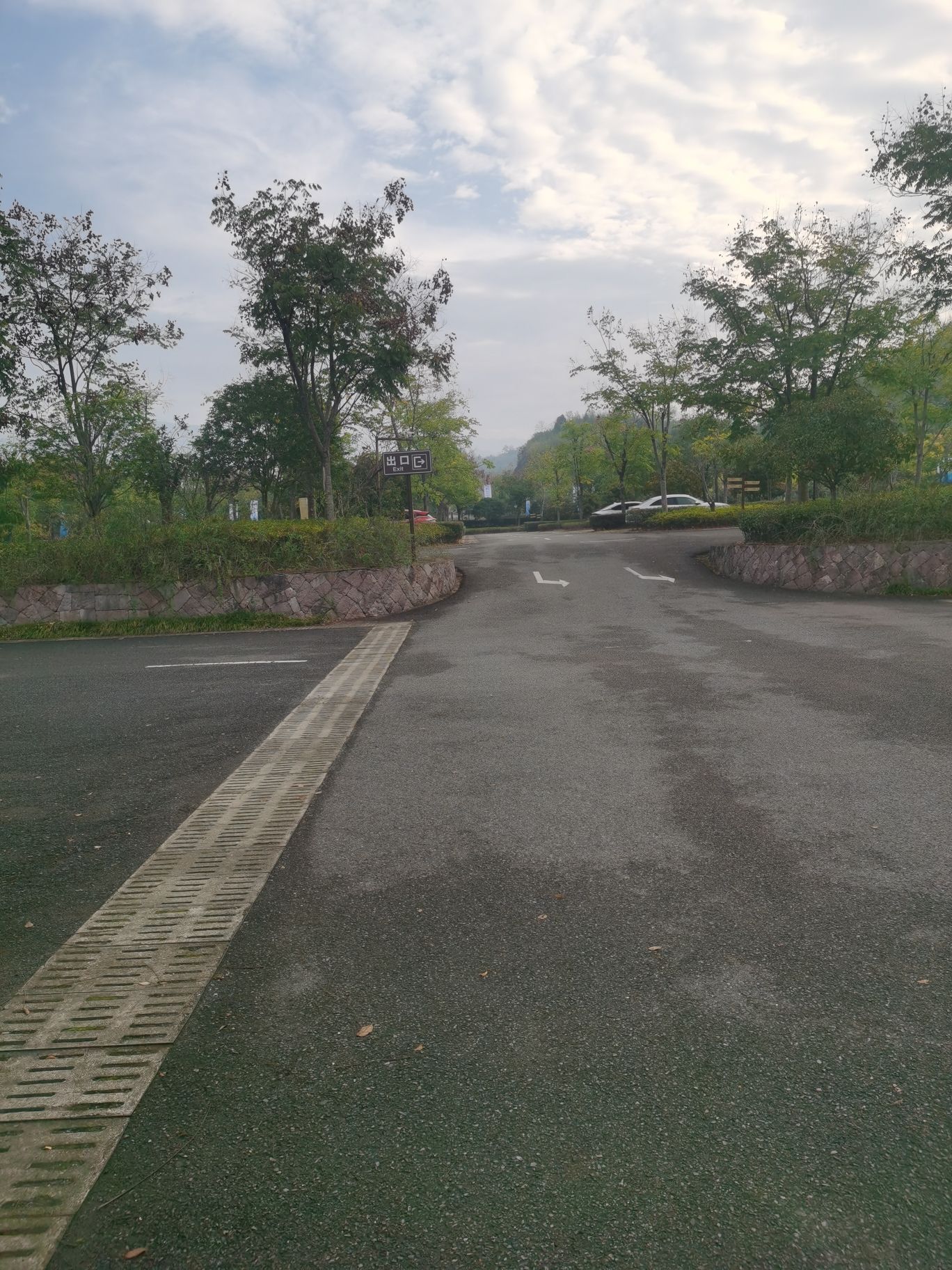 九九回归林旅行图片 2